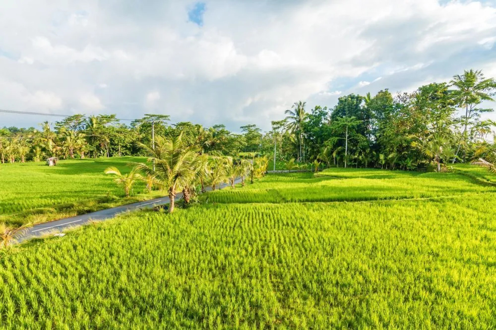 ZEN Rooms Kedisan Tegal Alang Ubud Villa