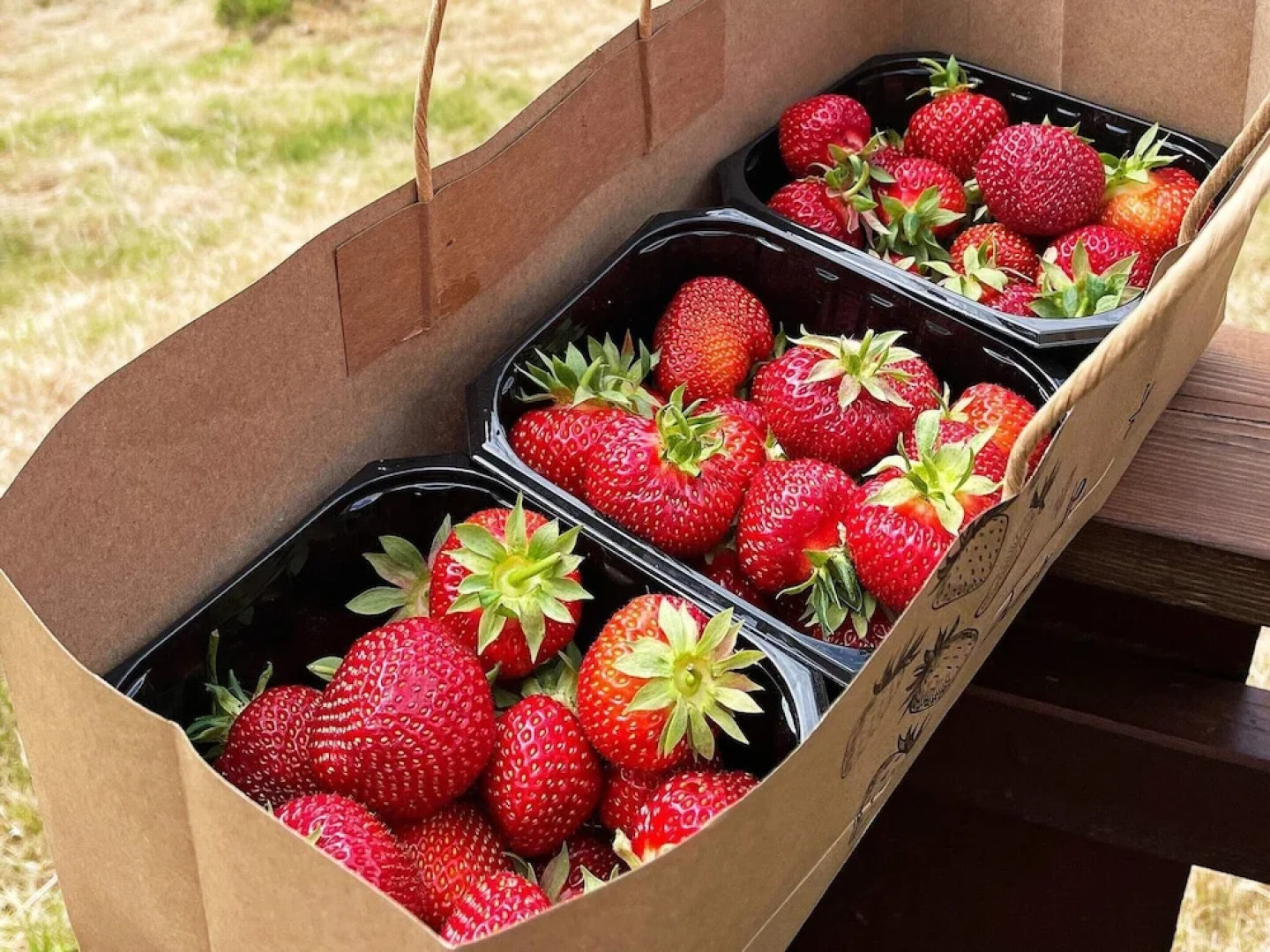 8 Person Holiday Home in Valldal