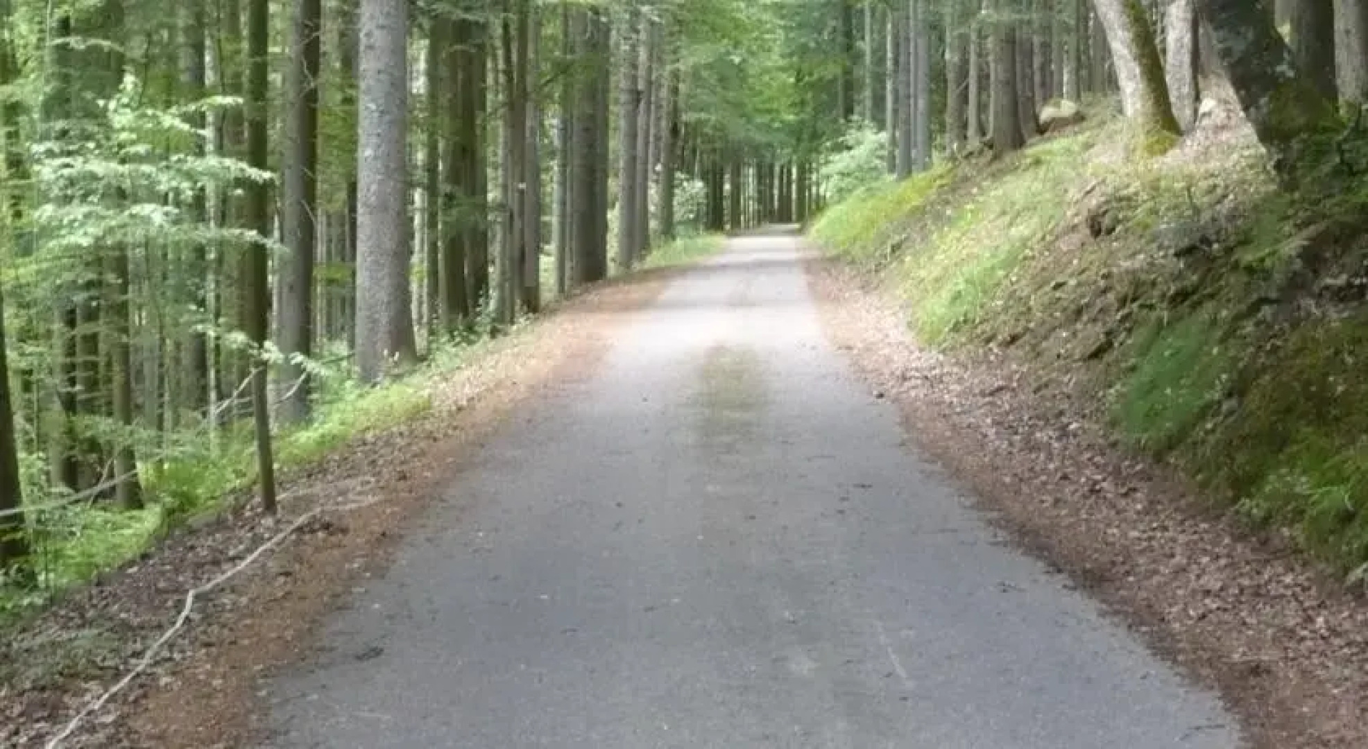 Familienferienhof Berger