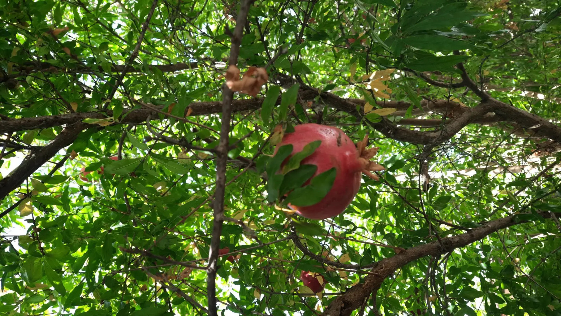 Море релакса