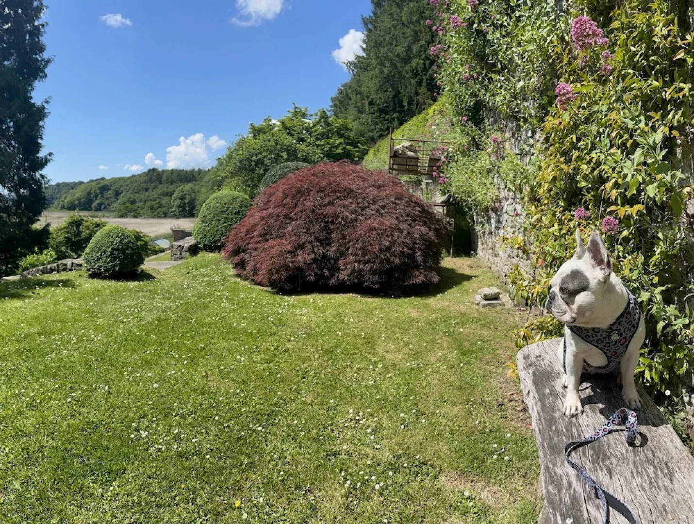 Slebech Park Restaurant & Rooms