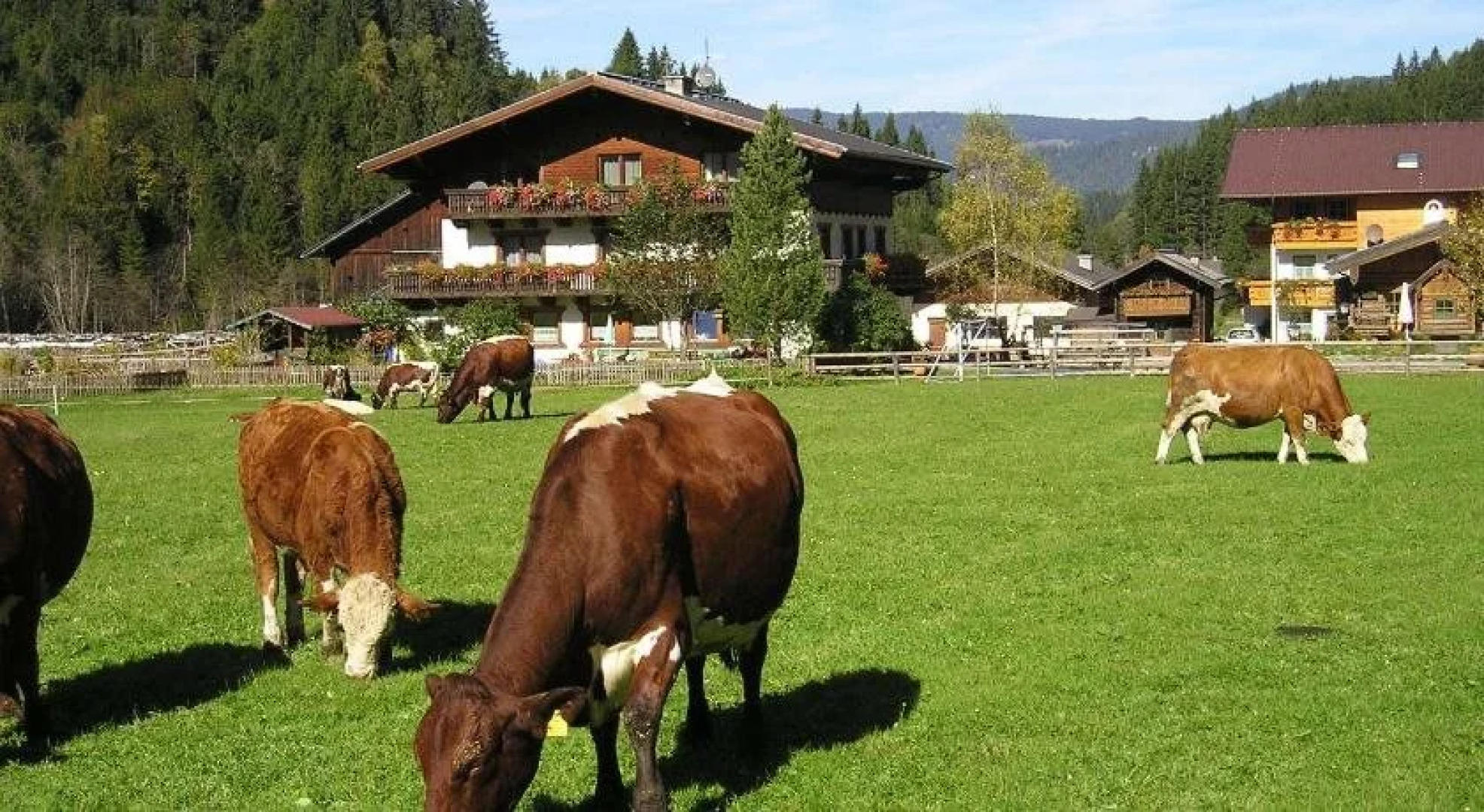 Farmauhof & Winkelhütte