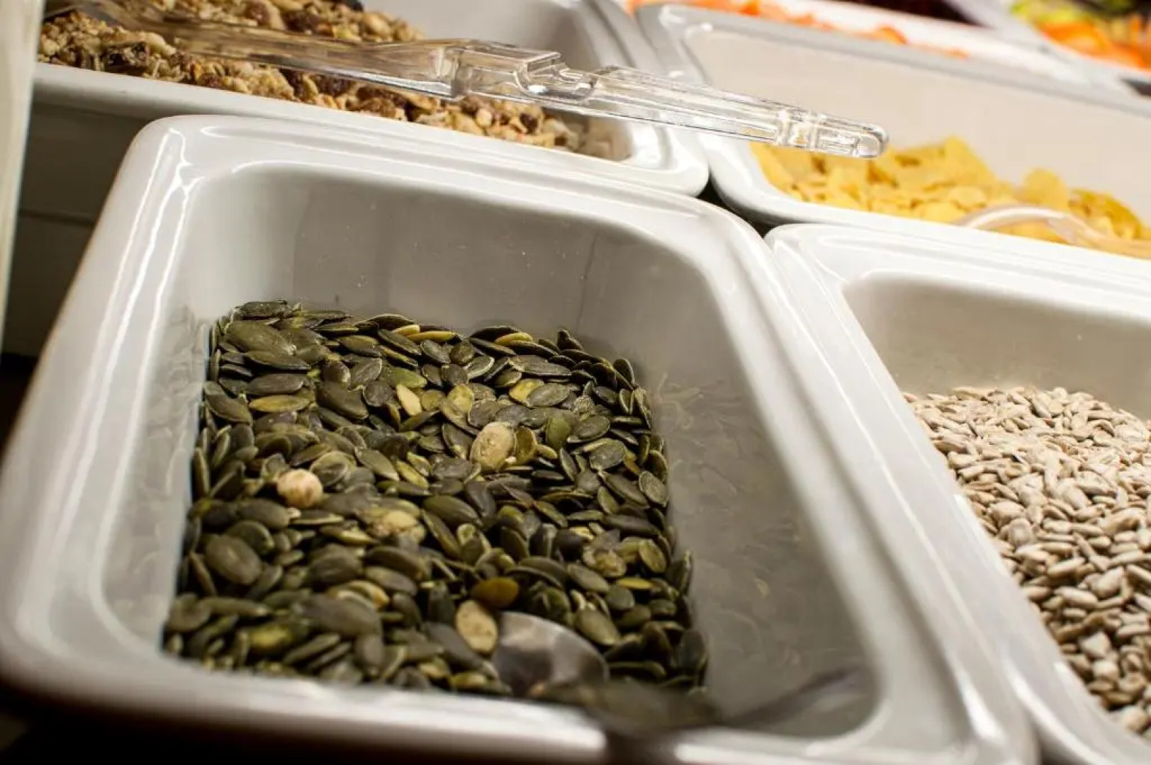 Hotel Srni Depandance