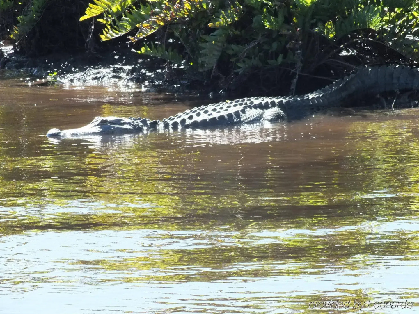 Holiday Inn Express & Suites Port Charlotte by IHG