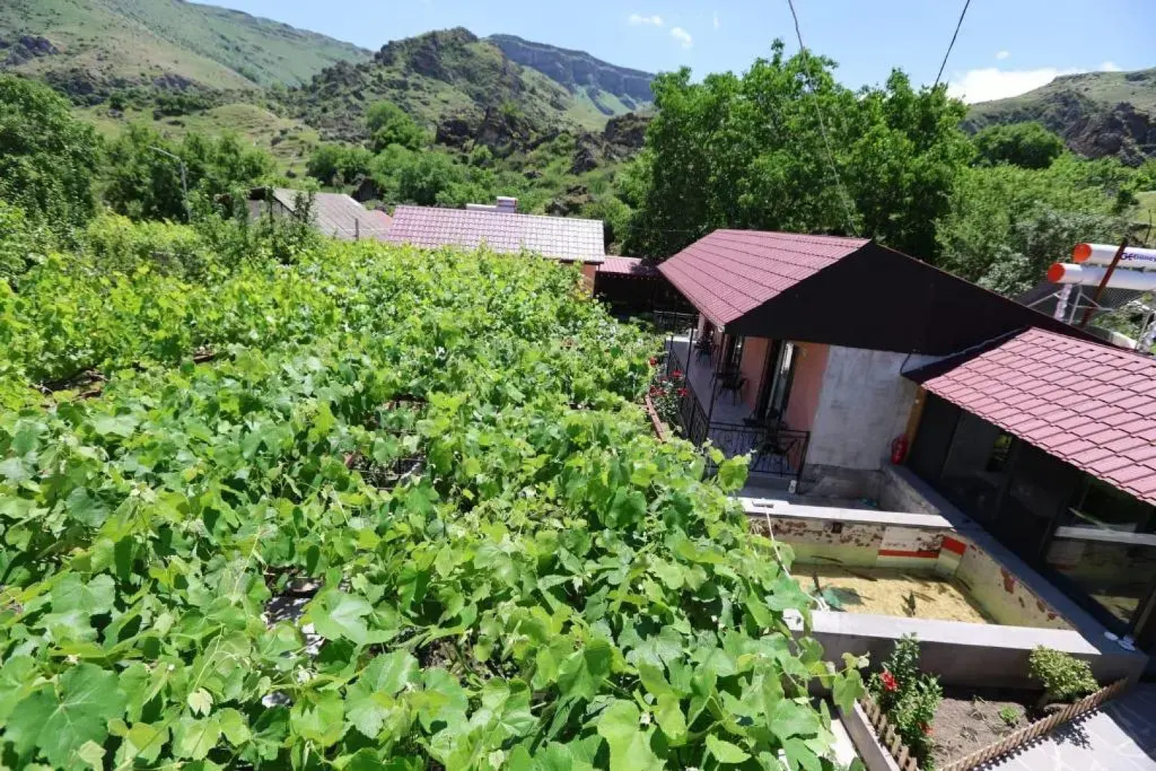 Guest House Tsiskari