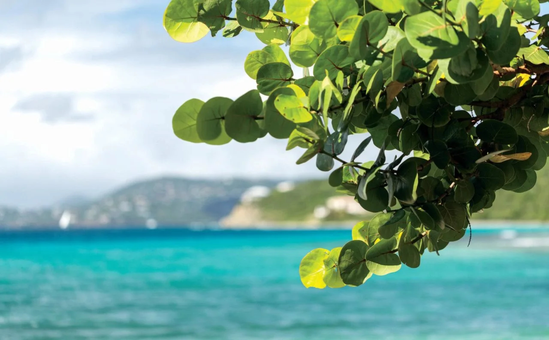 The Ritz-Carlton, St. Thomas