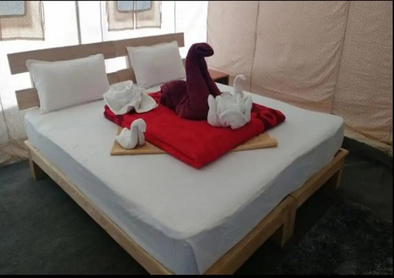 Pangong Heritage Camp