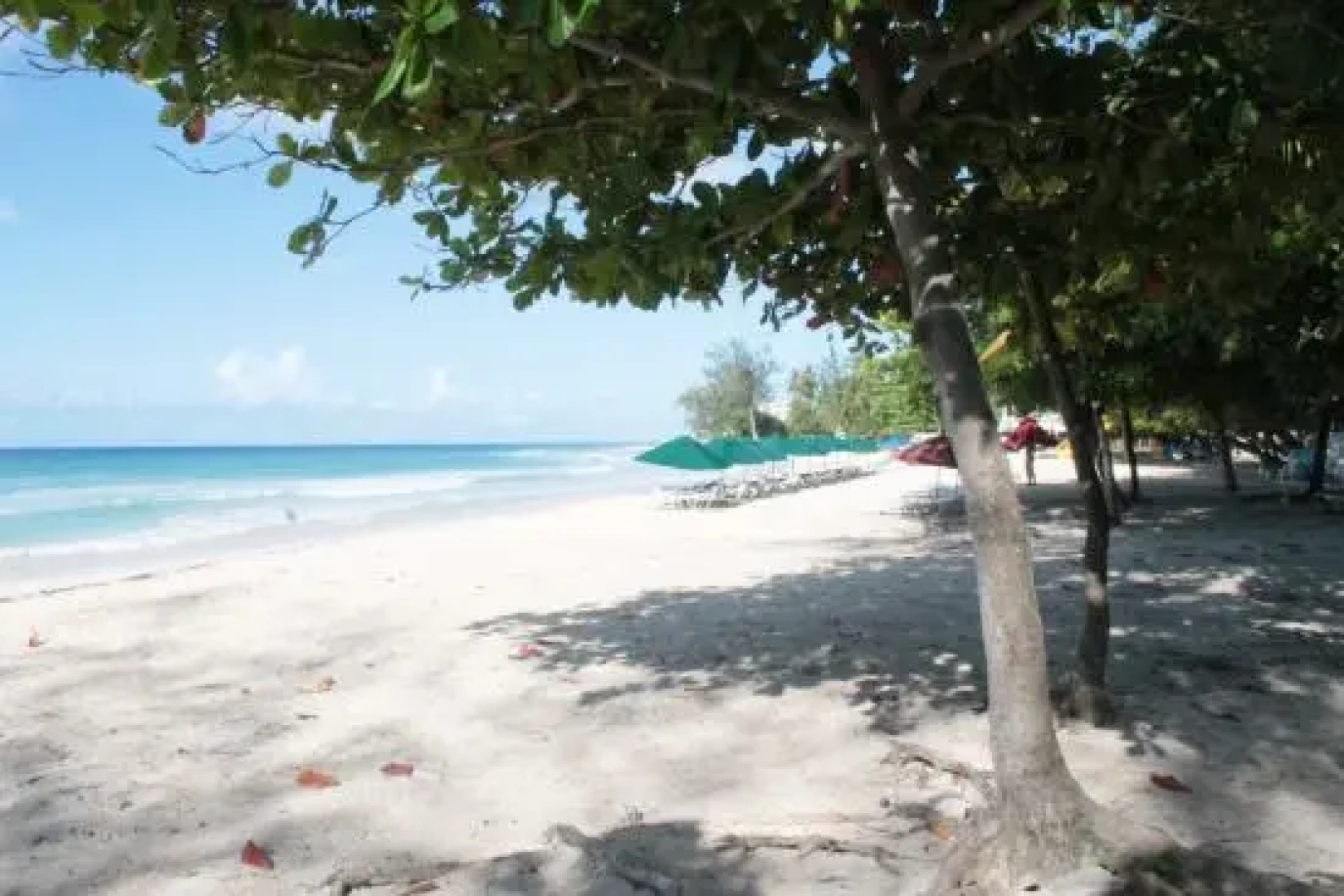 Southern Surf Beach Apartments