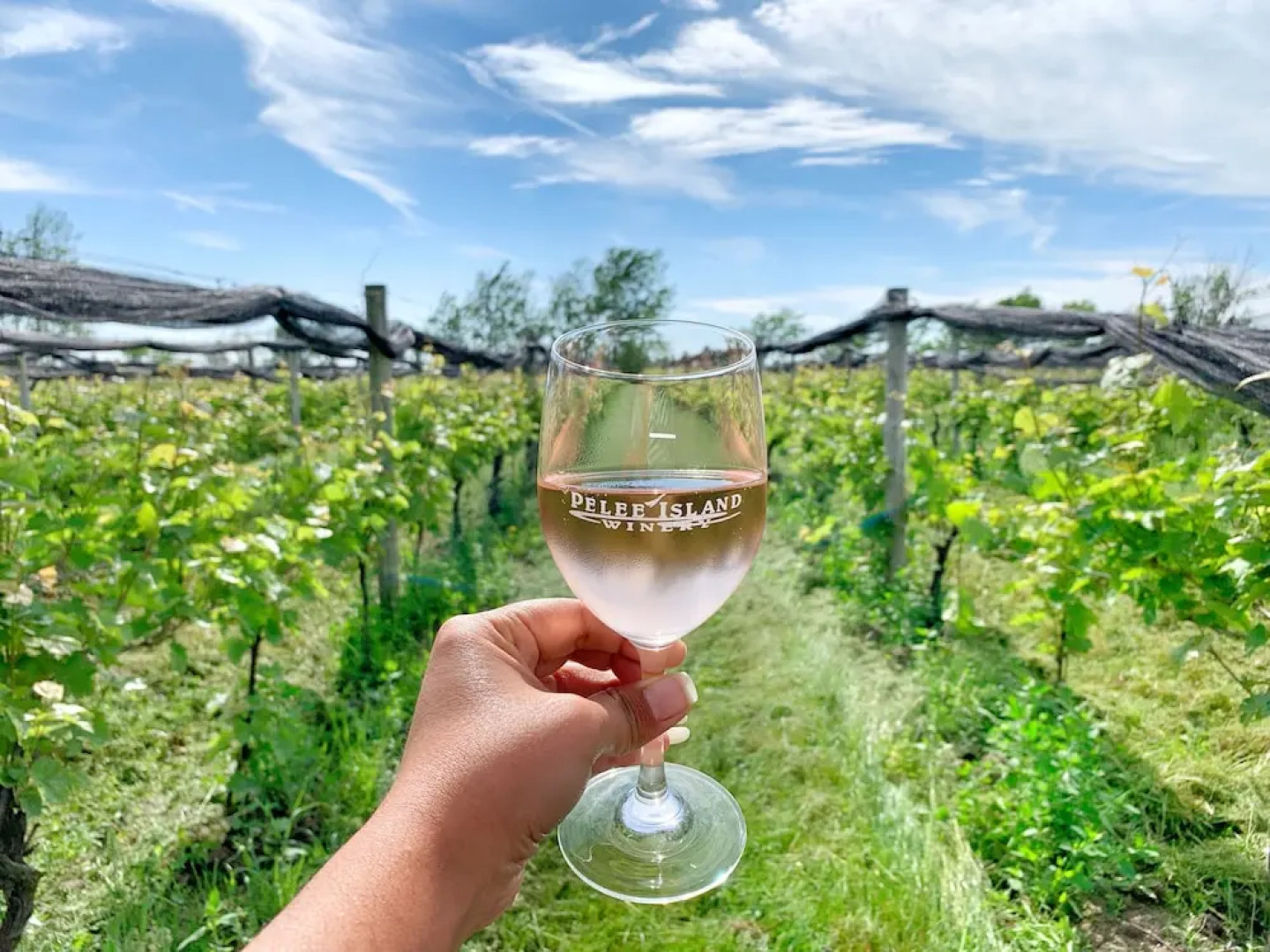 Seacliff Beach Suites - Coastal room, awesome strolling, all amenities, right in town