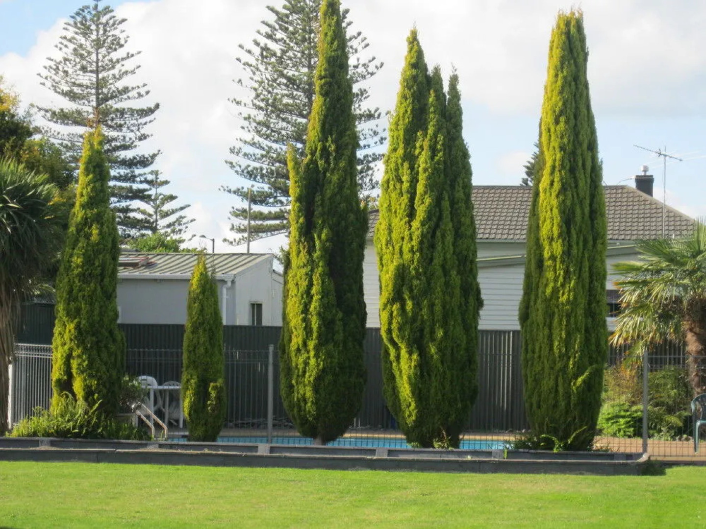 McLean Park Garden Motel