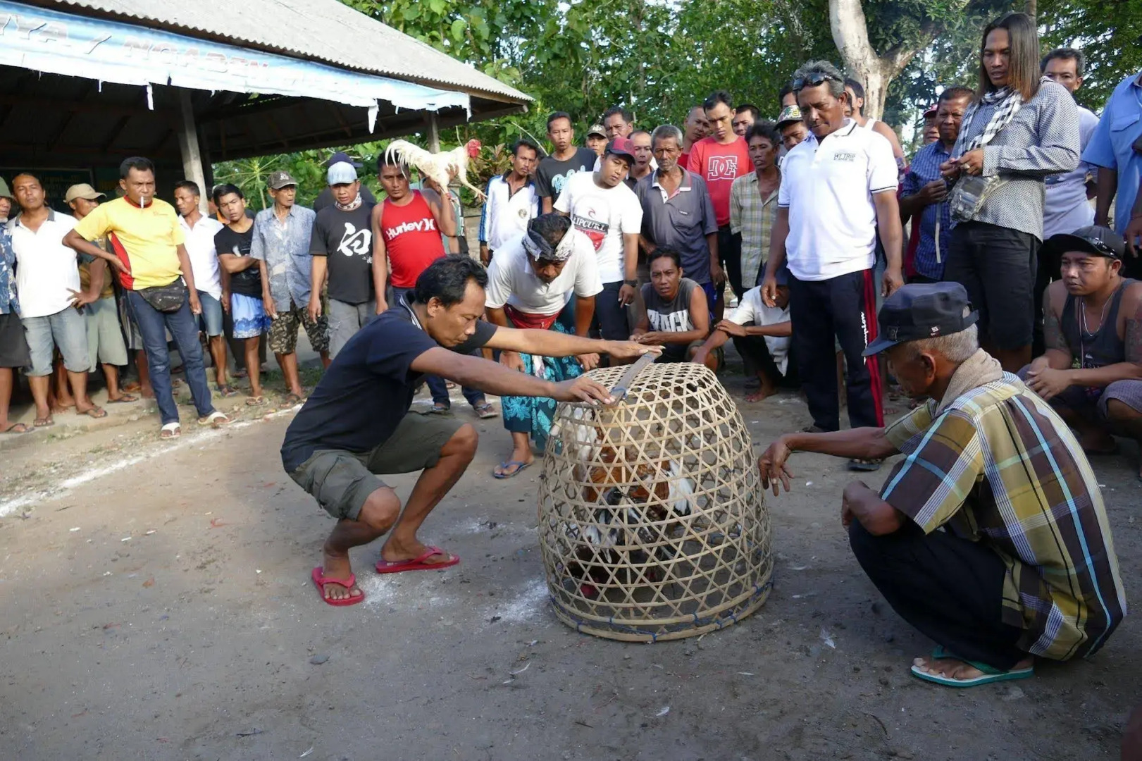 Alami Boutique Villas & Resort