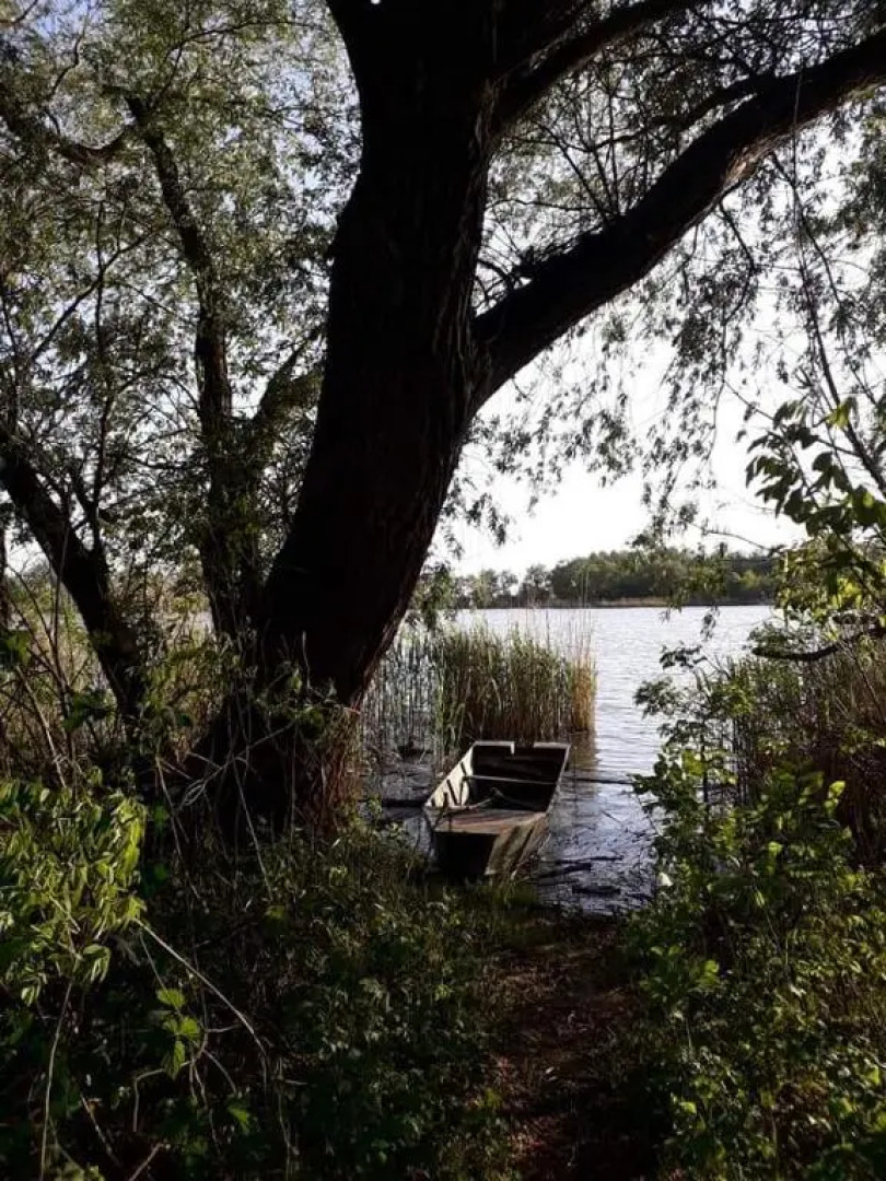 Tiszavirág Vendégház