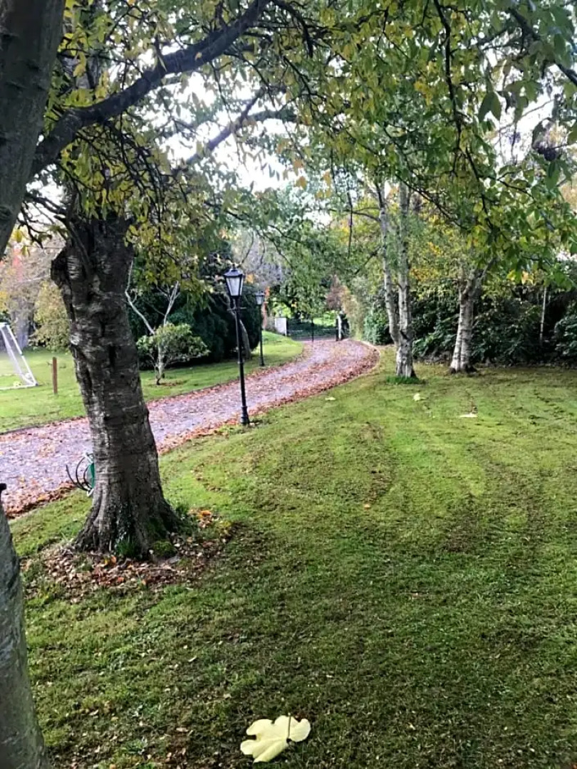 Tall Trees Seaside & Nature Retreat B&B