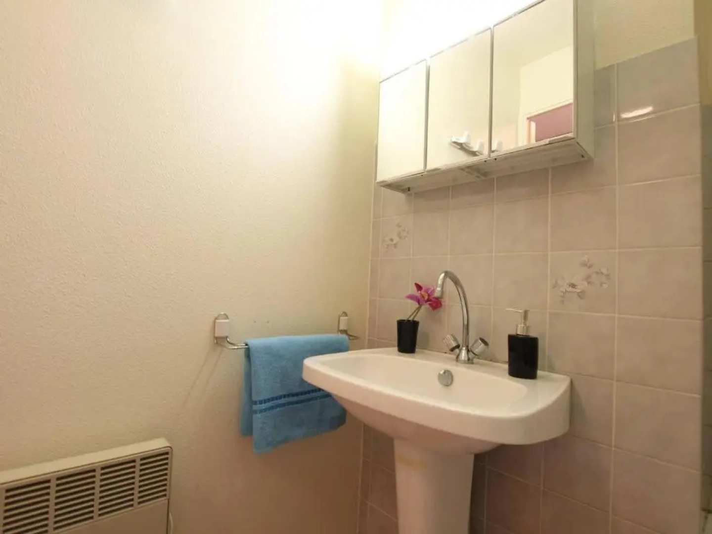 Appartement Vallouise-La Casse, 2 pièces, 6 personnes - FR-1-330G-38