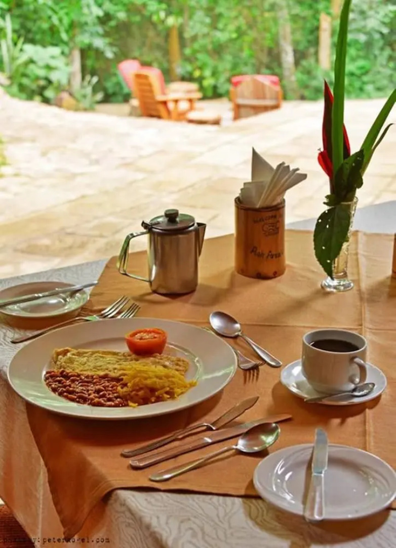 Rainforest Lodge Mabira by GEO