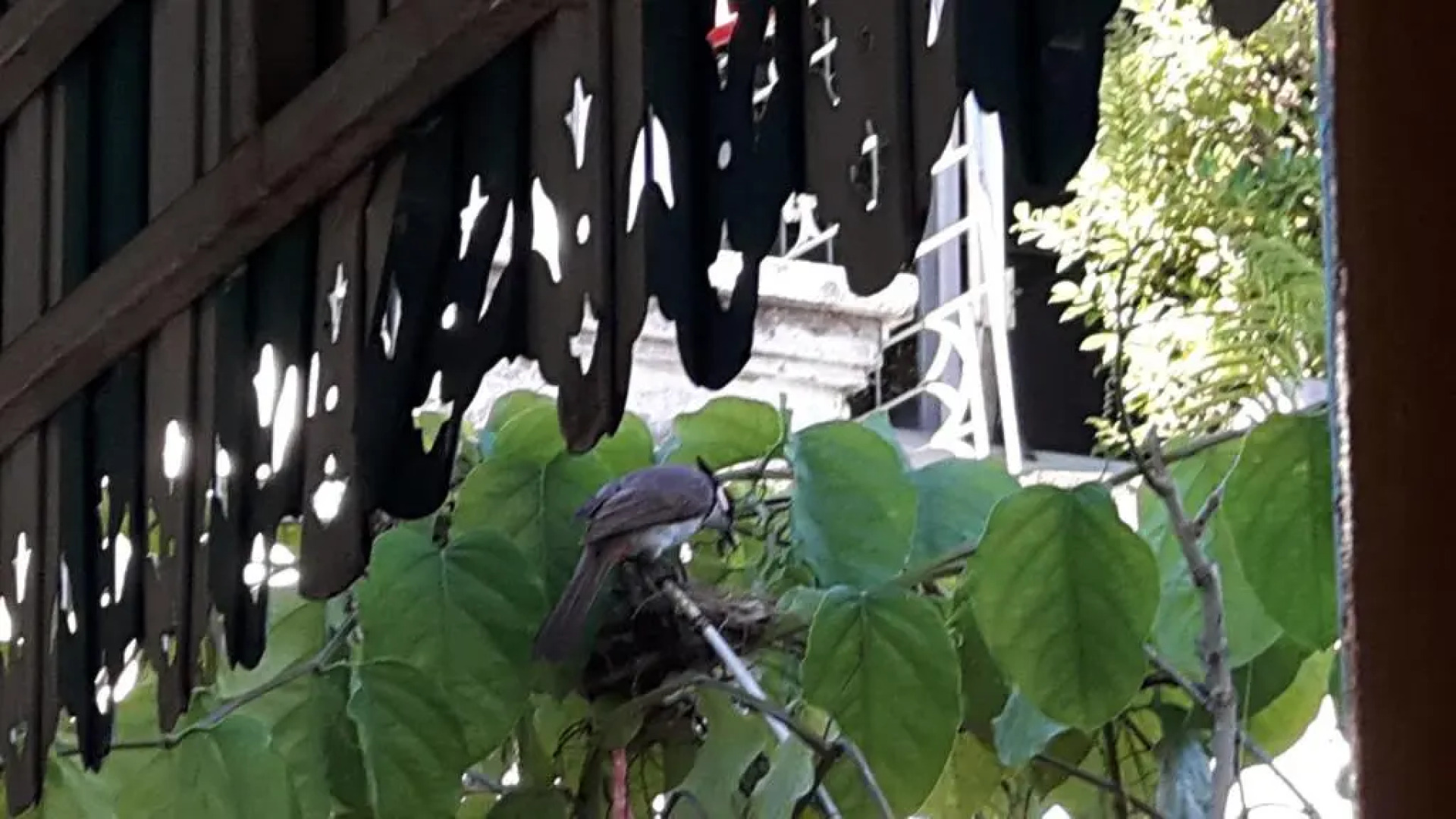 Home Baan Chiang Mai