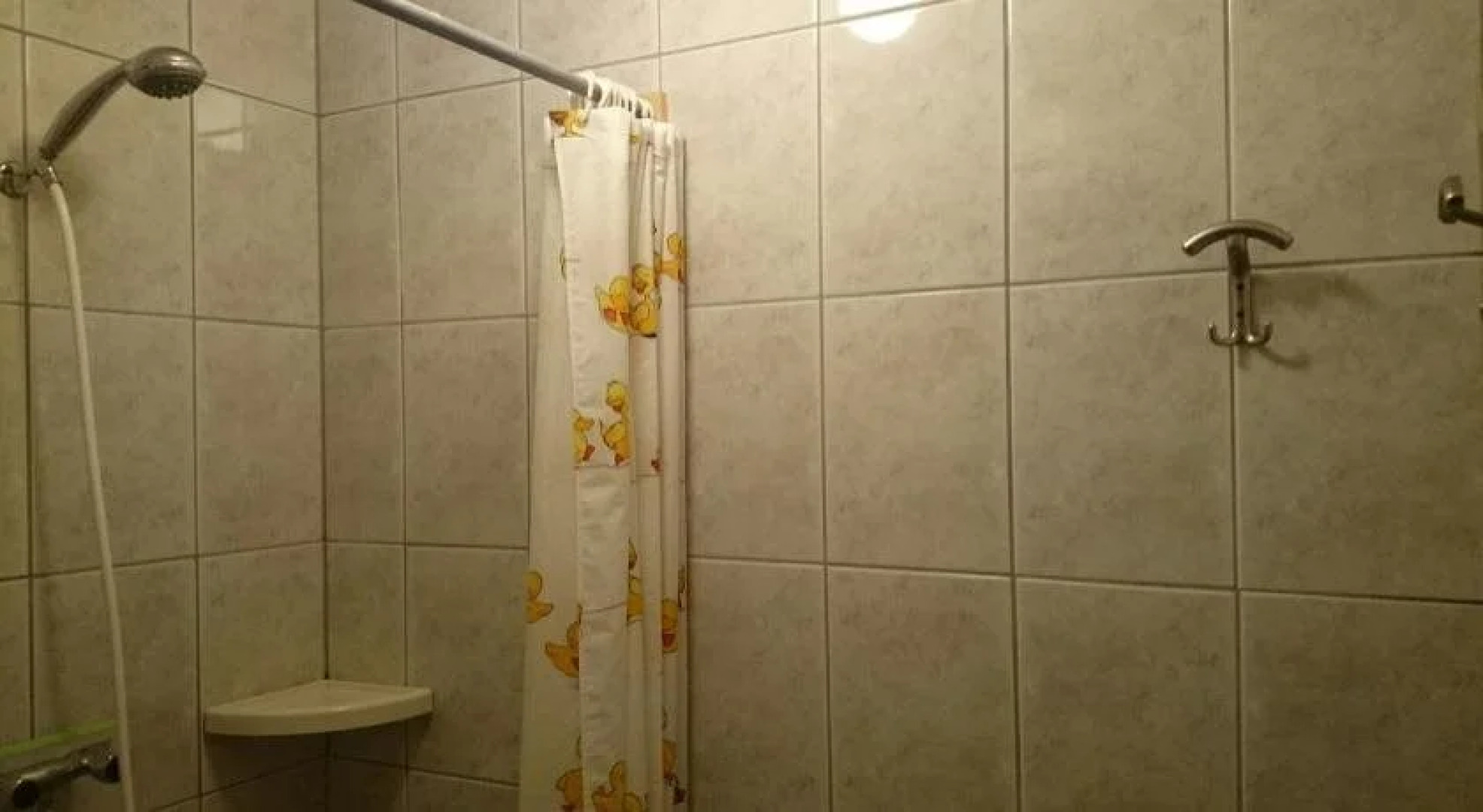 B&B Het Farm-house Natuurpark