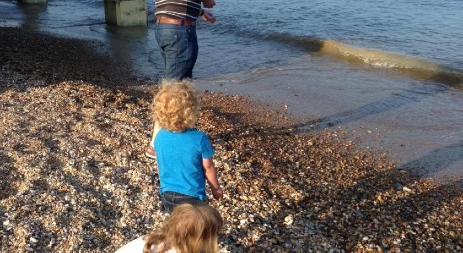 The Alendale Guest House