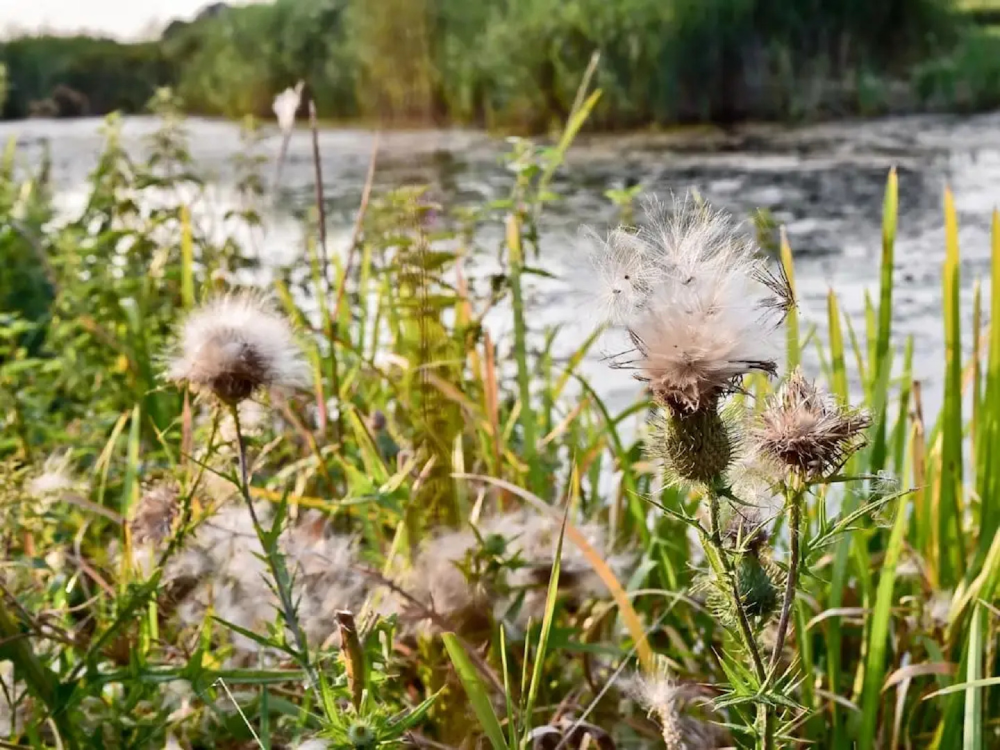 Comfortable Chalet Close to Nature