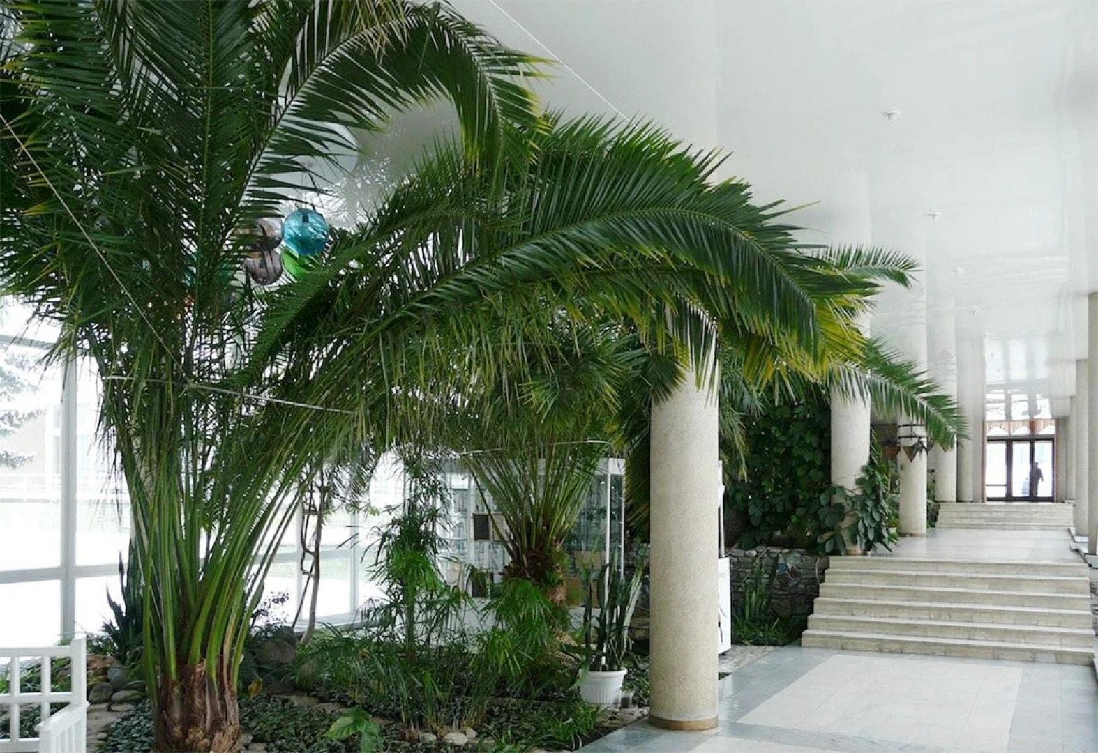 Zhemchuzhina Kavkaza (Essentuki)