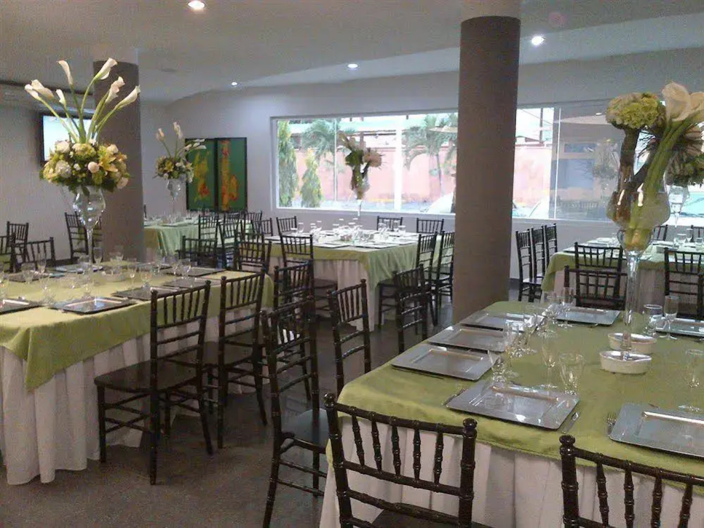 Hotel Casa del Arbol