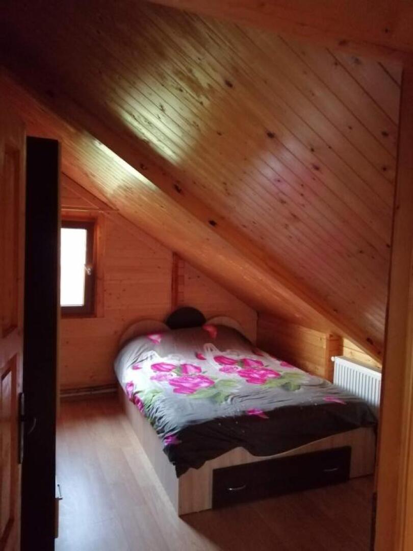 Cabana de lemn Mioveni