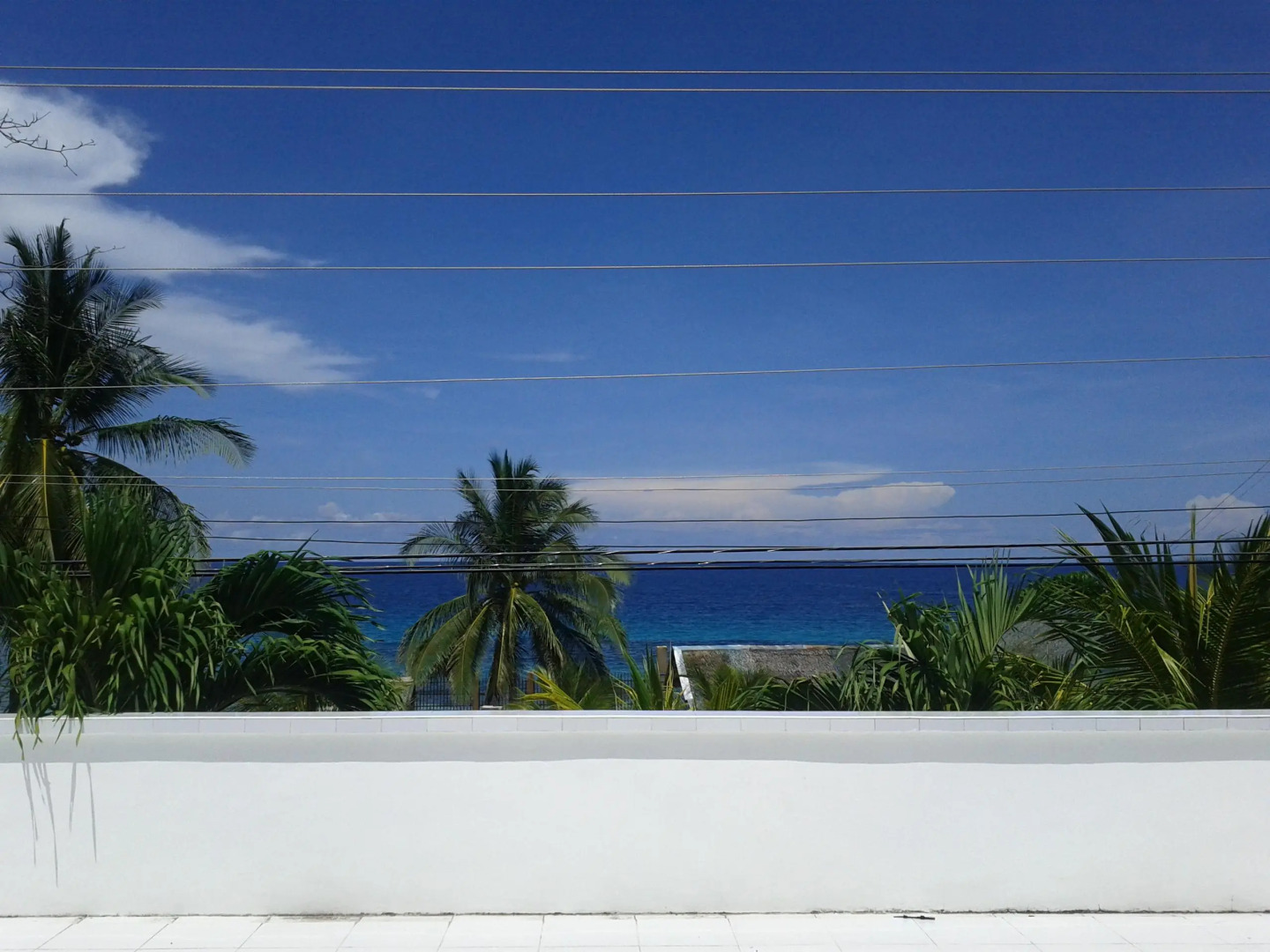 Luzmin BH - White House