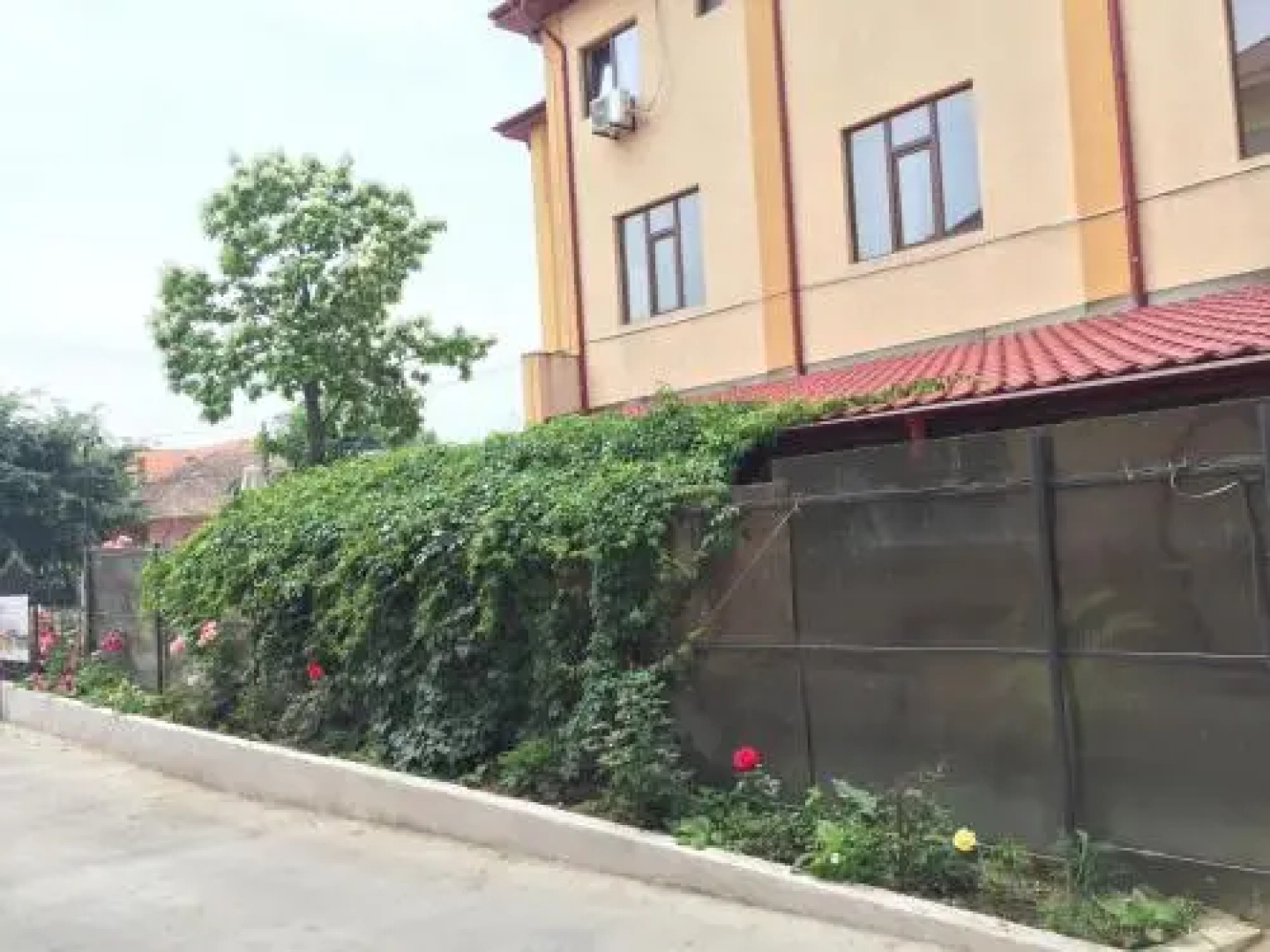 Hotel Tata Si Fii