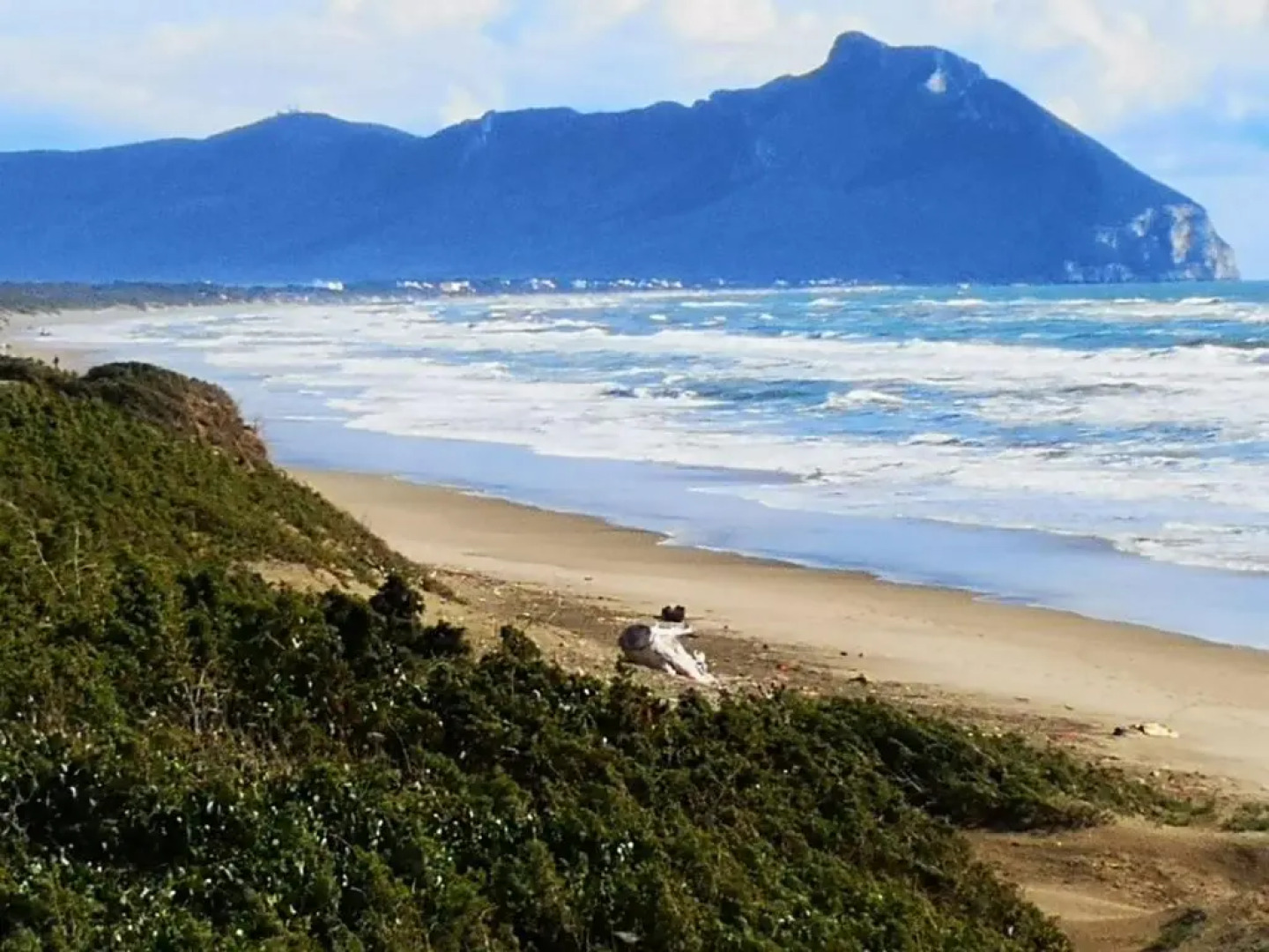 Appartamento in Villa con giardino vicino al mare