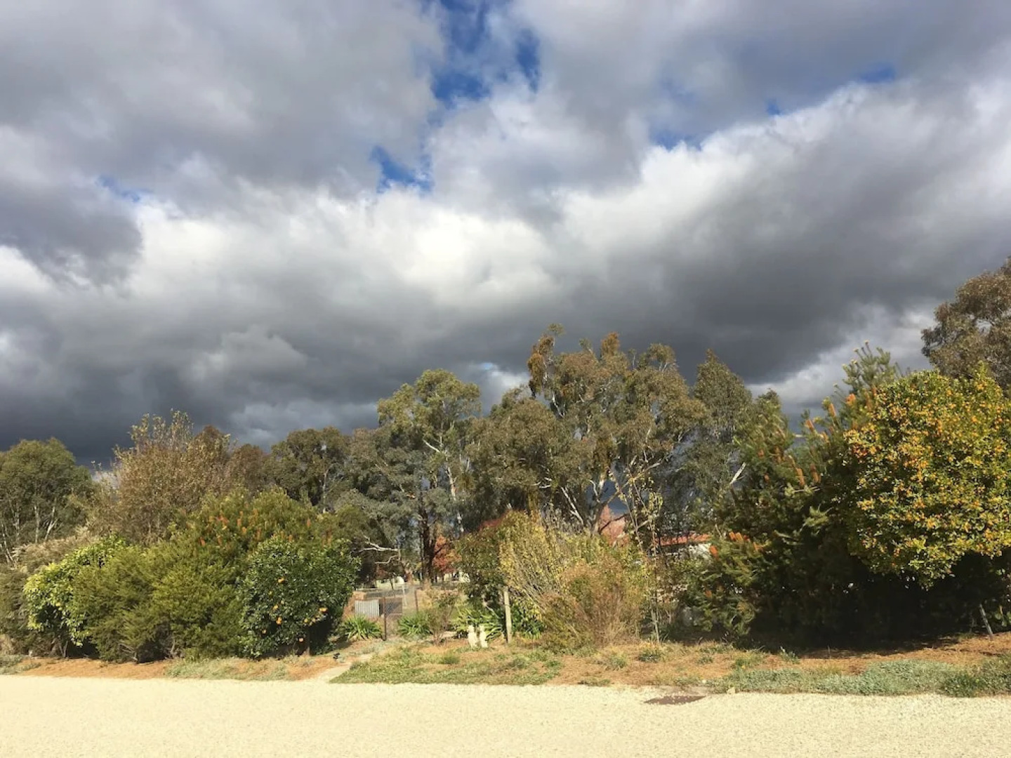 Byer Fountain Motor Inn, Holbrook