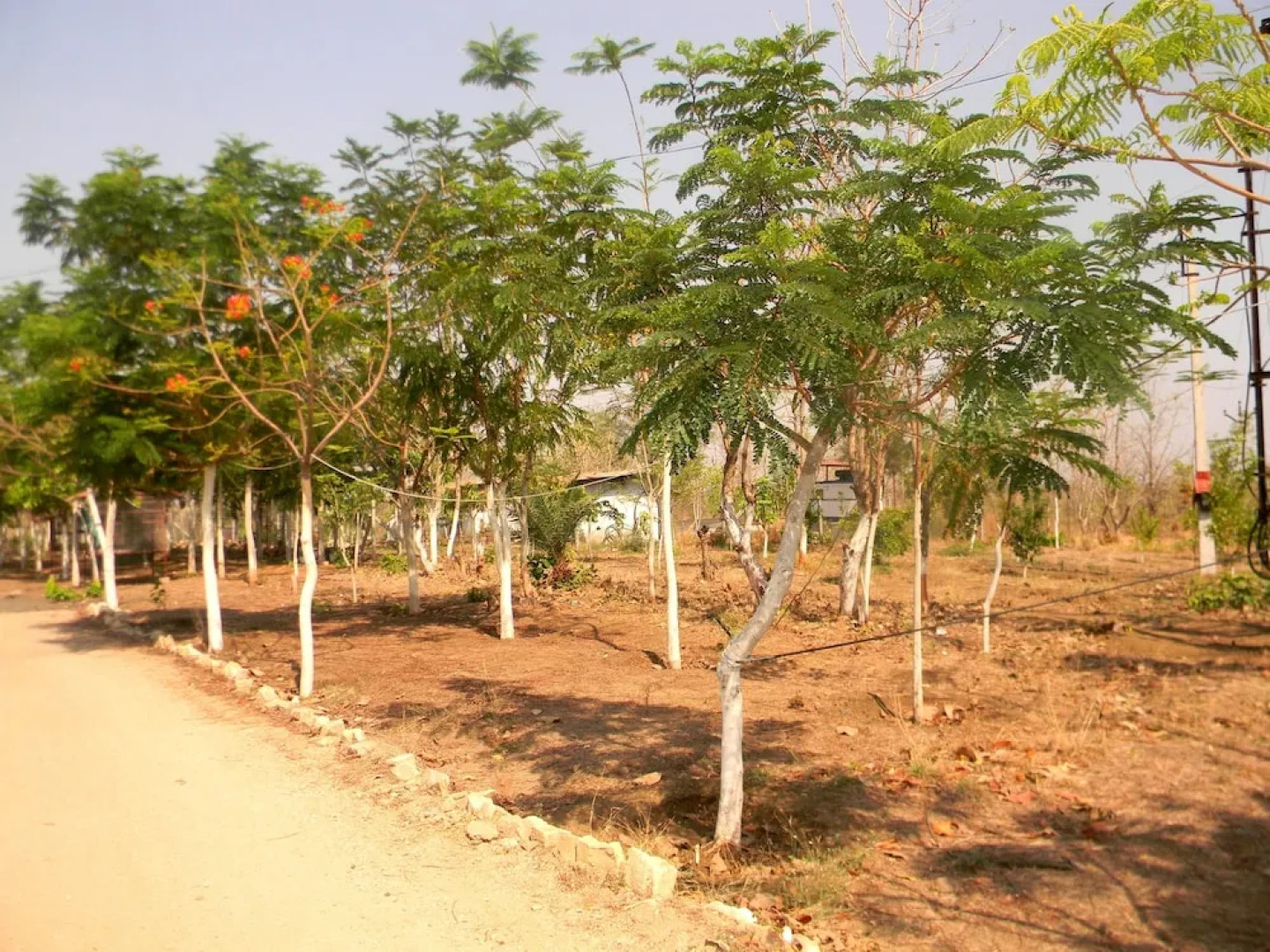 Tigers Heaven Resort