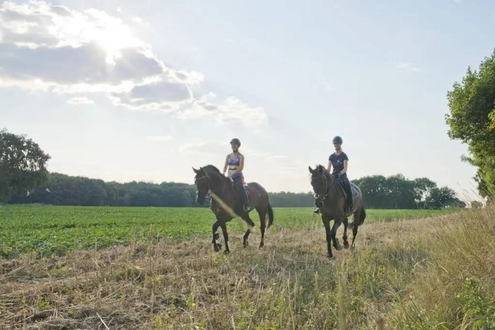 Romantik Hotel Gutshaus Ludorf