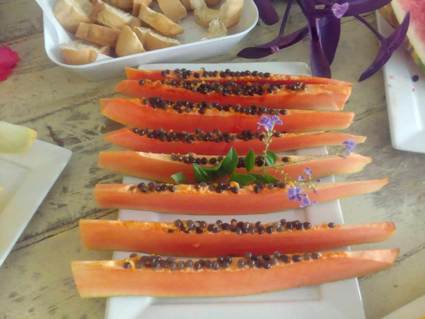 Hotel Ocean Imperium