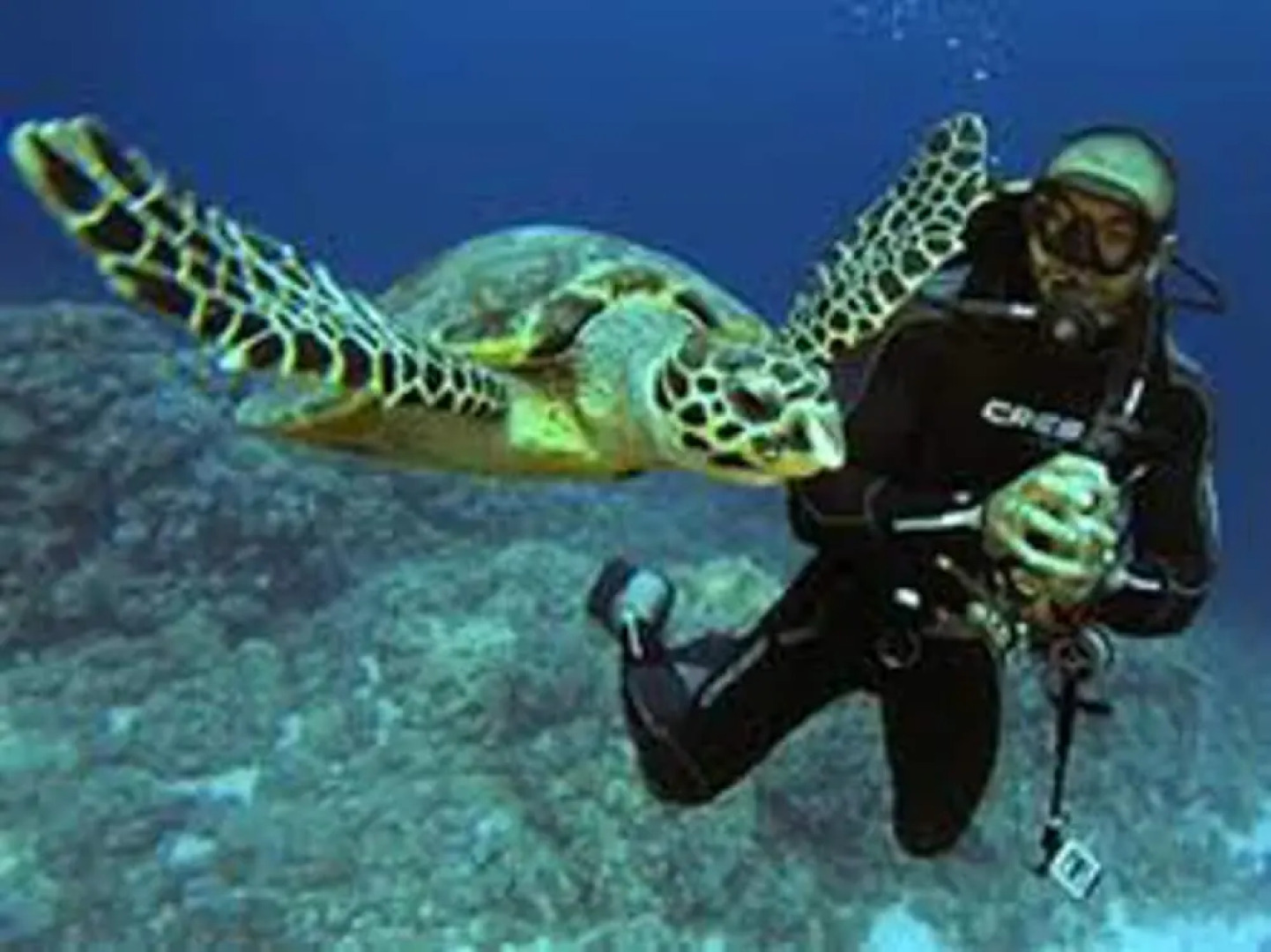 Beautiful 2bed Appt in Hurghada, Short & Long Term