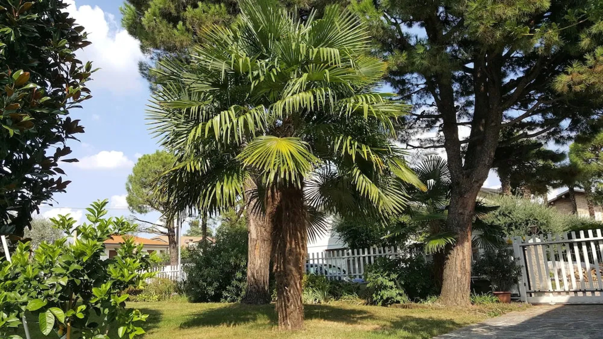 Bed and Breakfast Groane