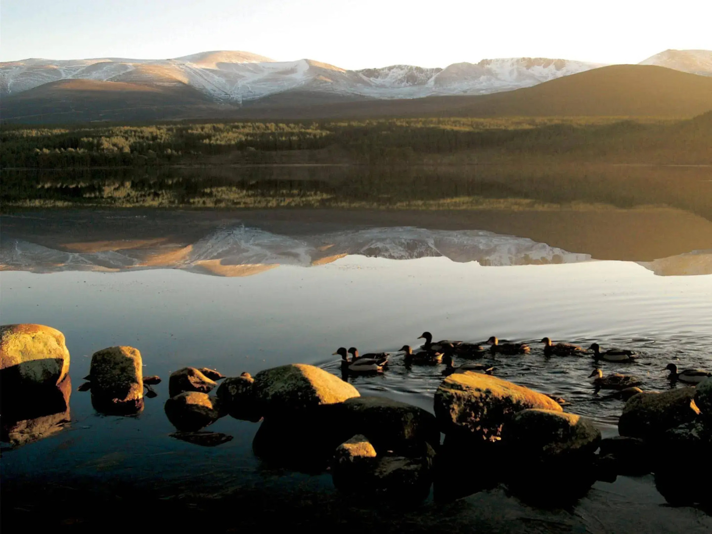 Macdonald Aviemore Highland Hotel