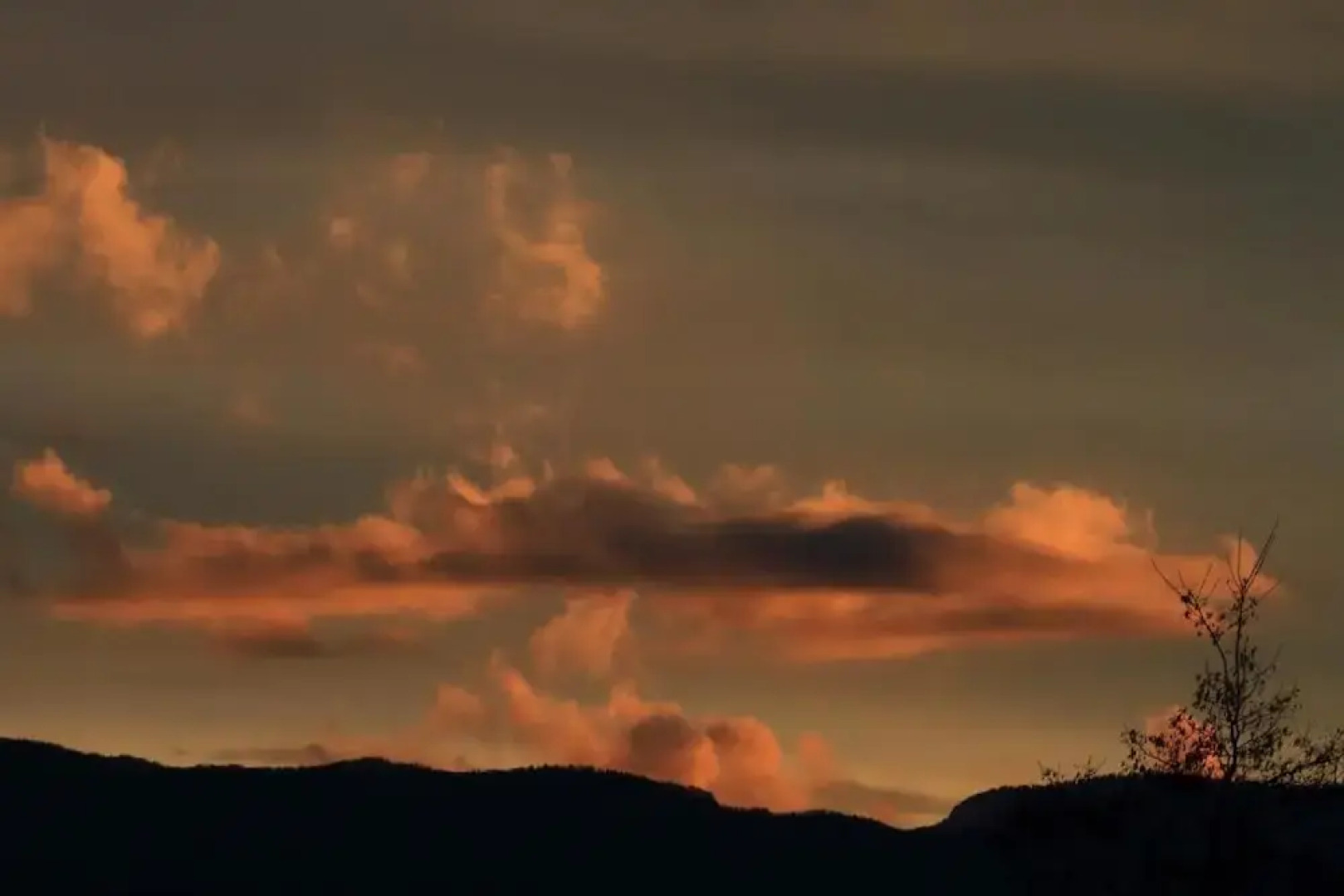 Hotel Restaurant Rome