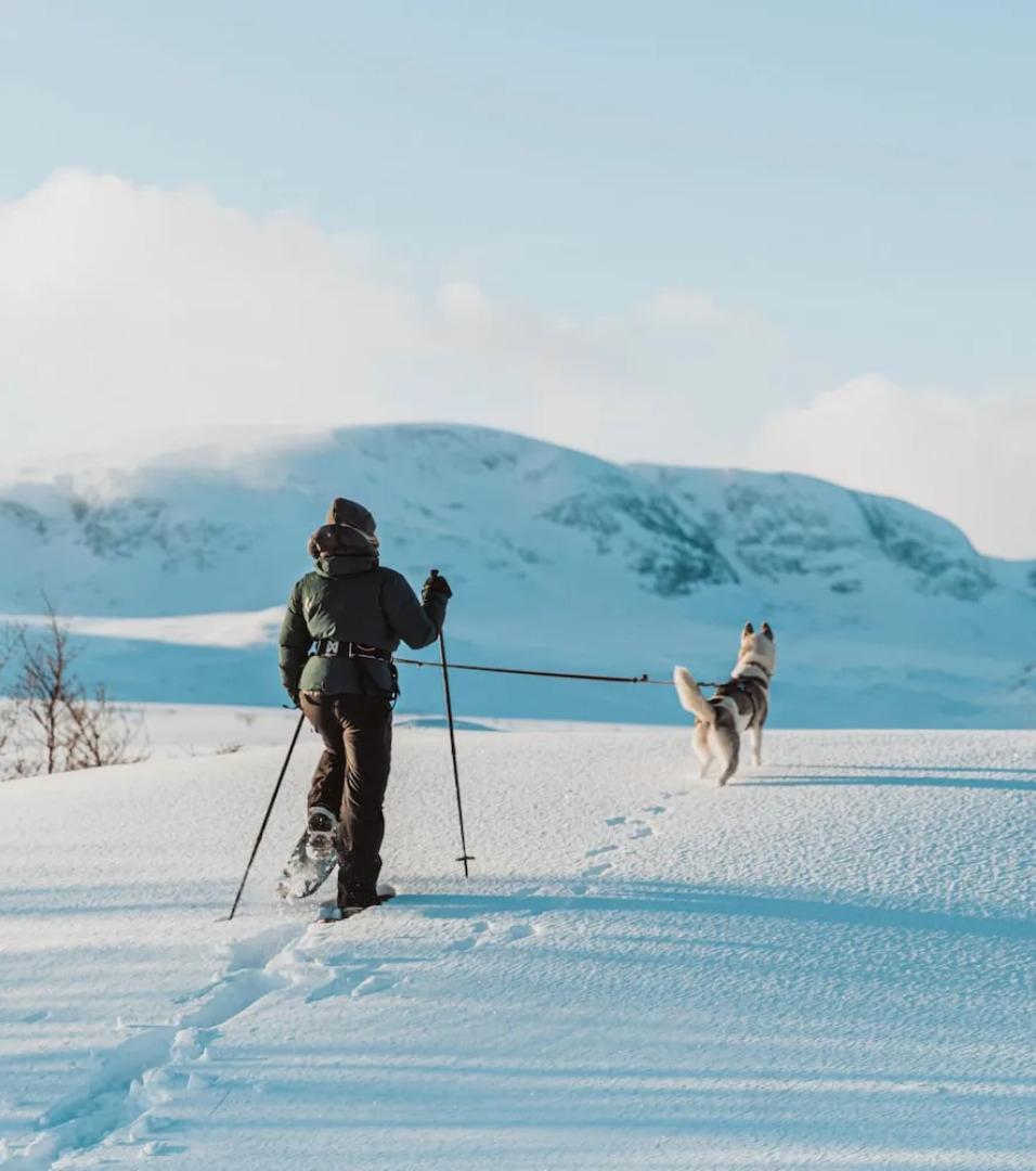 Highland Lodge Fjellandsby