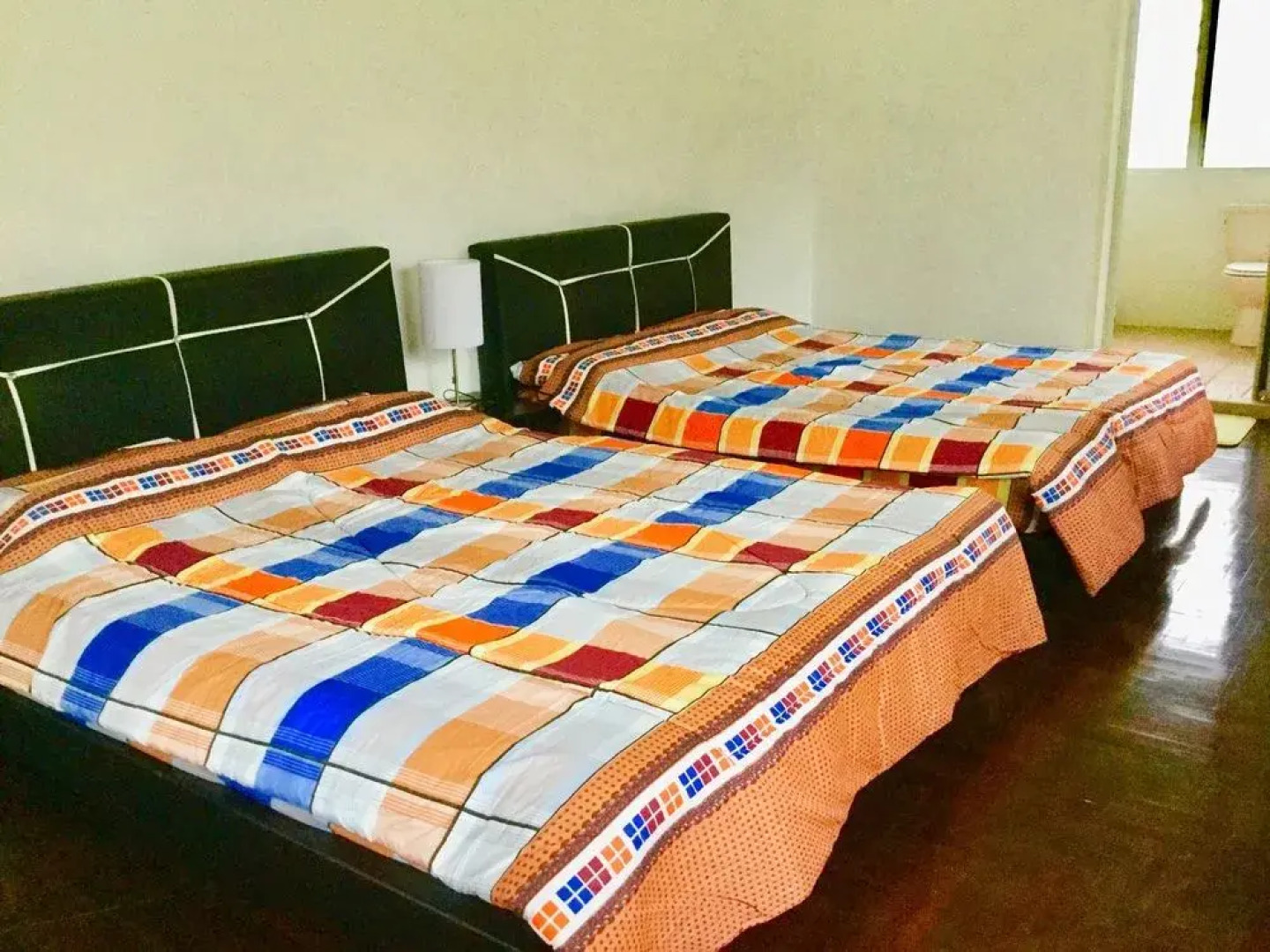 Sea Lion by the Beach