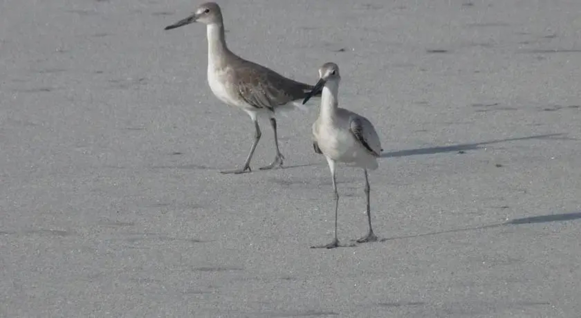 Cabañas Guicci Resort