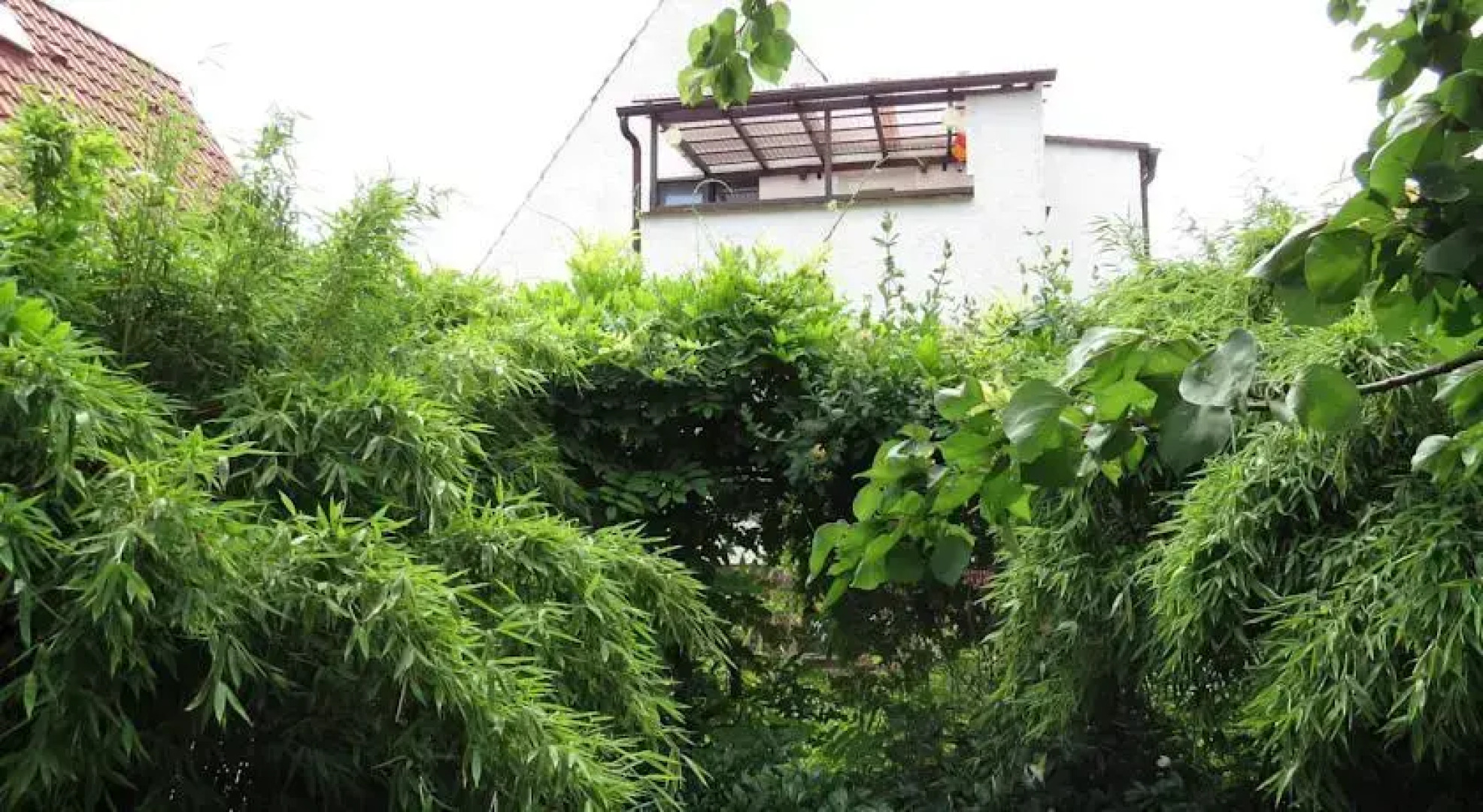 Ferienwohnung Genetzkie