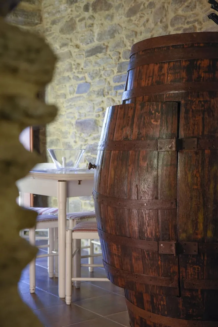 Sobreiros's Villa in Douro Valley