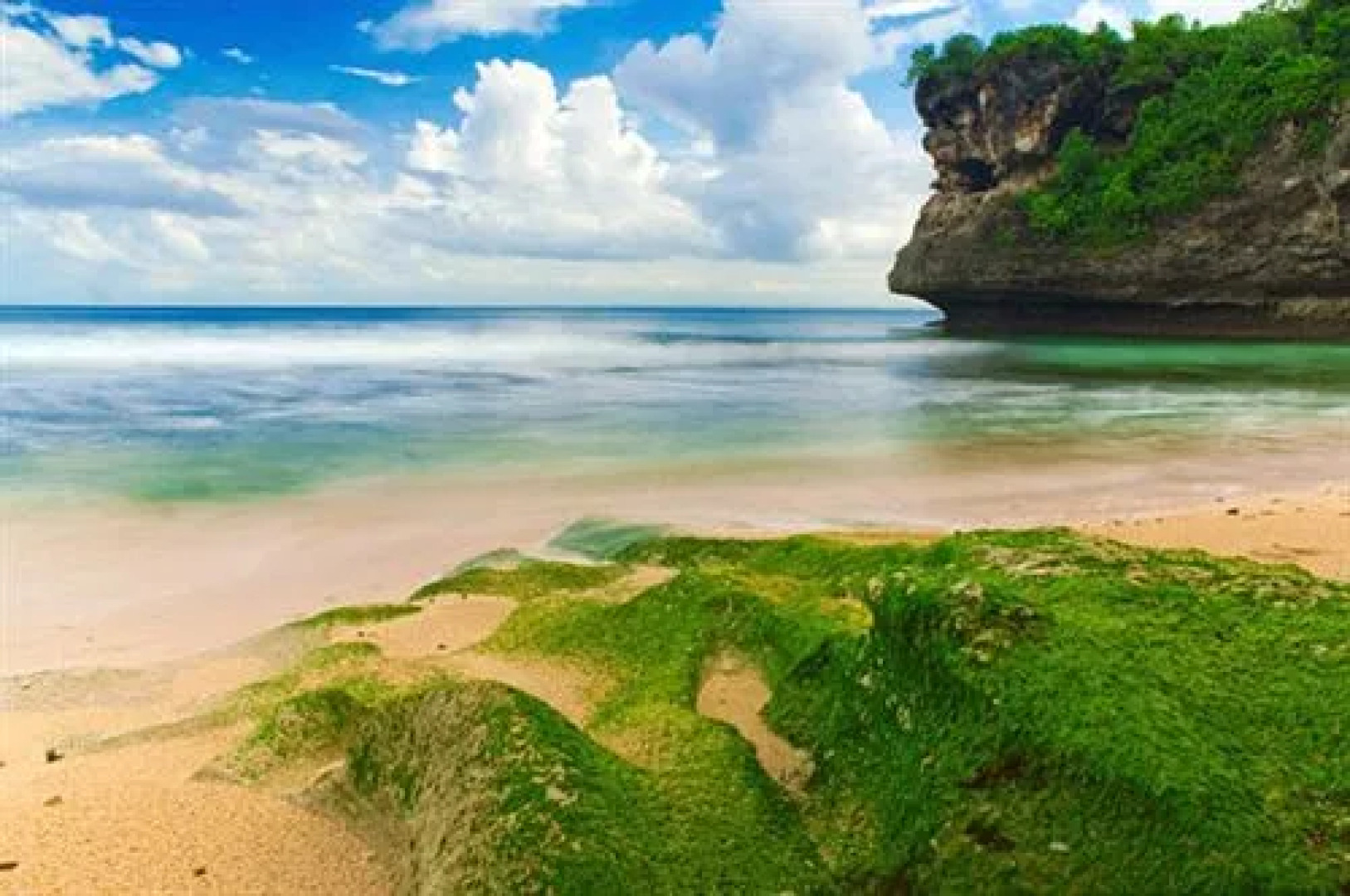 Flower Bud Bungalows