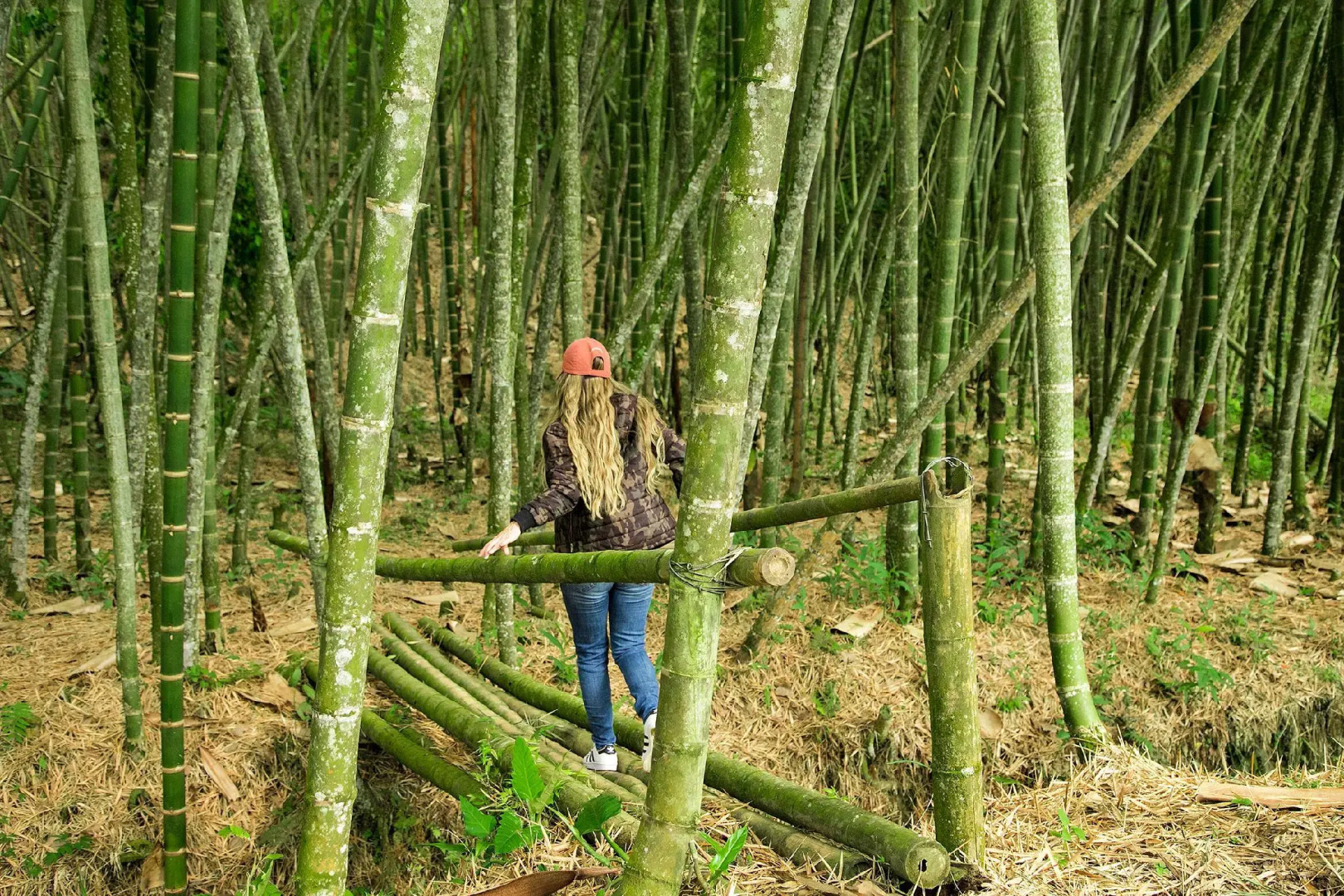 Casa San Carlos Lodge