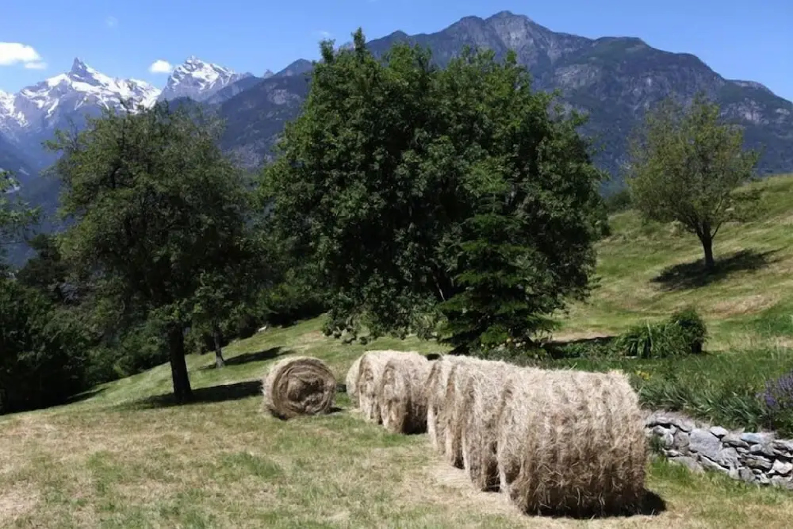 La Majón dé Fohtèn