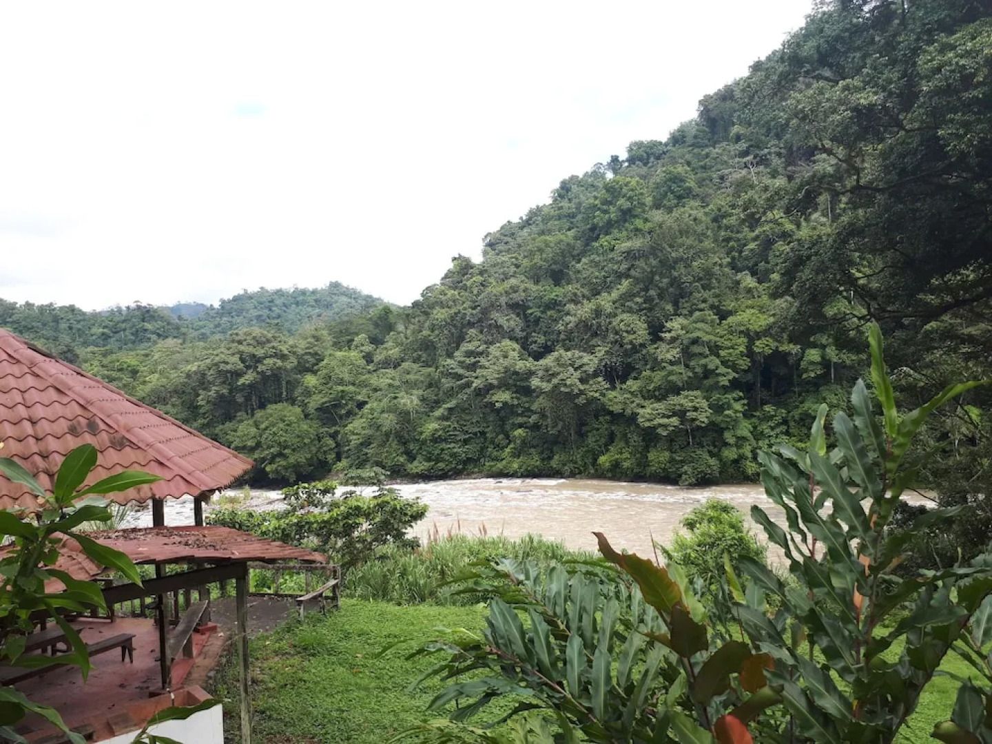 Finca Tres Equis - Farm and Forest