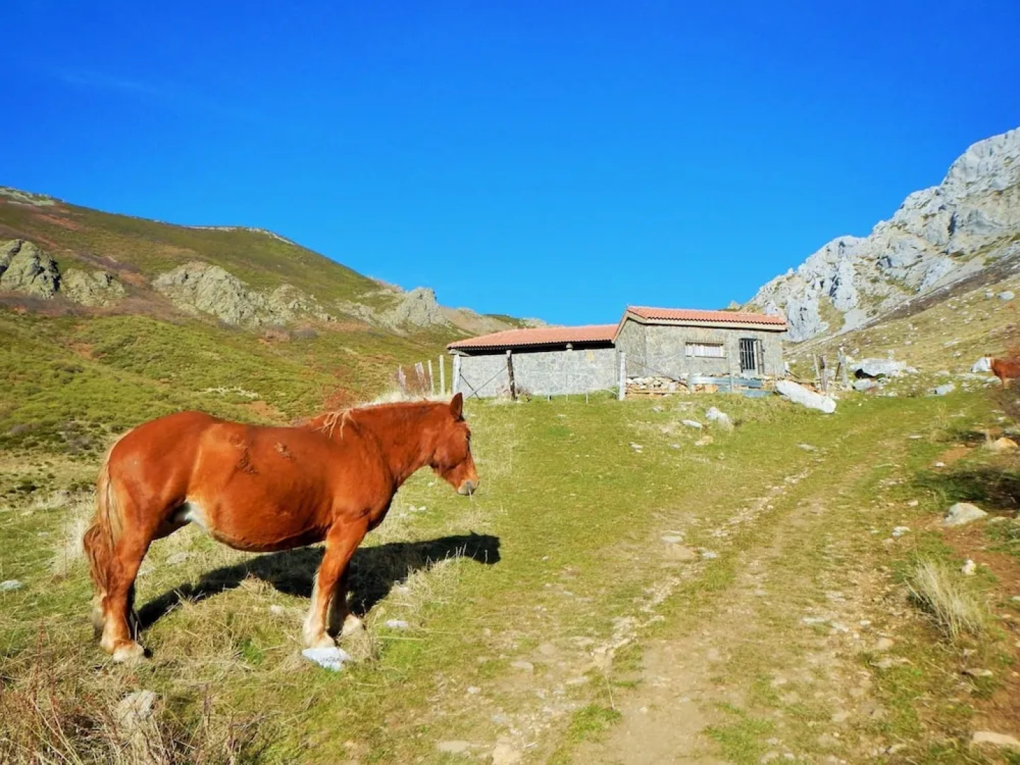 CasaCándana