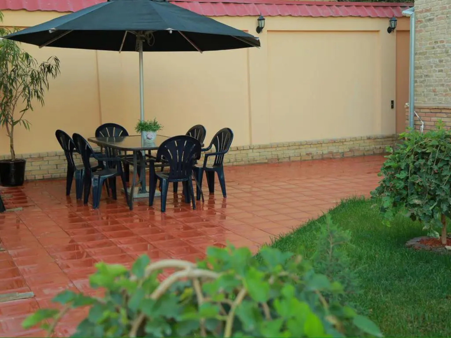 Отель Star Hotel Ташкент