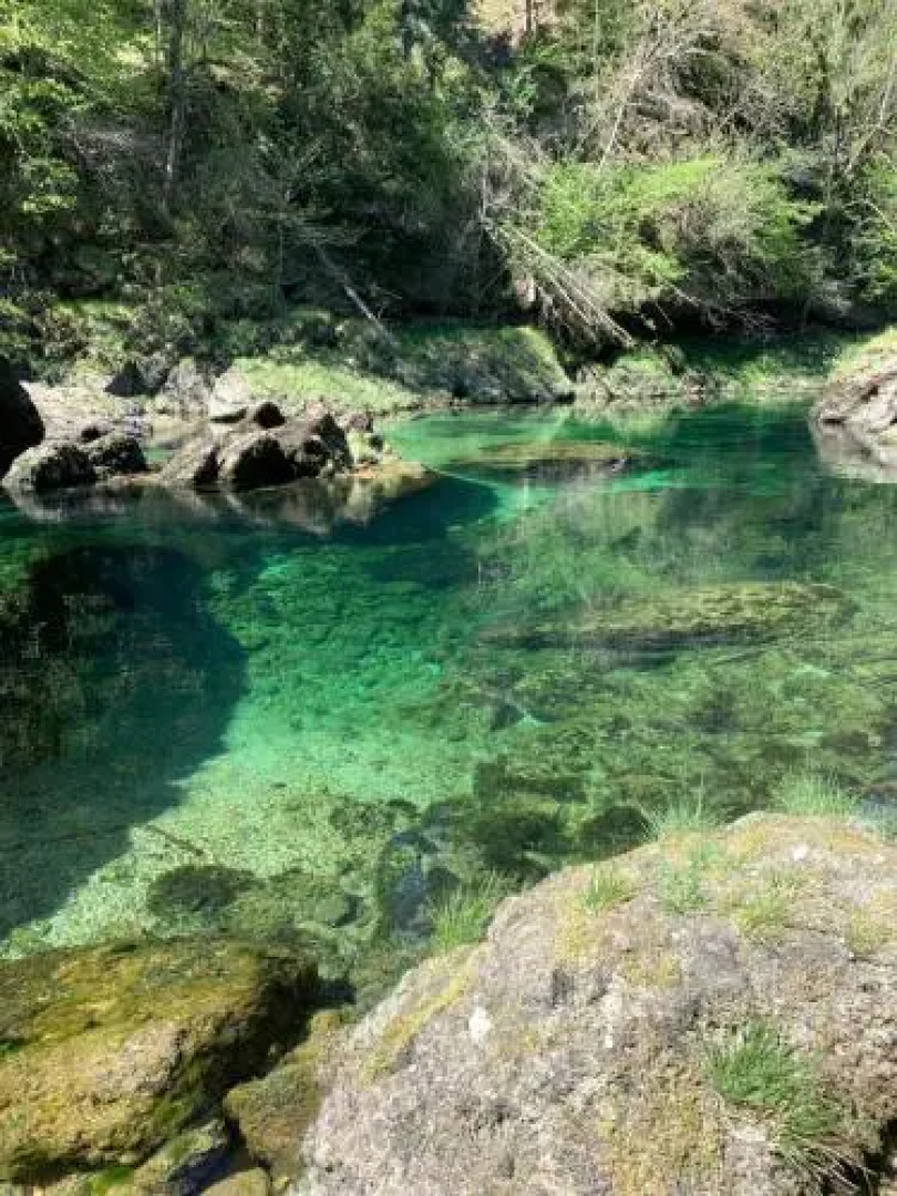 Ferienhäuschen am Traunsee