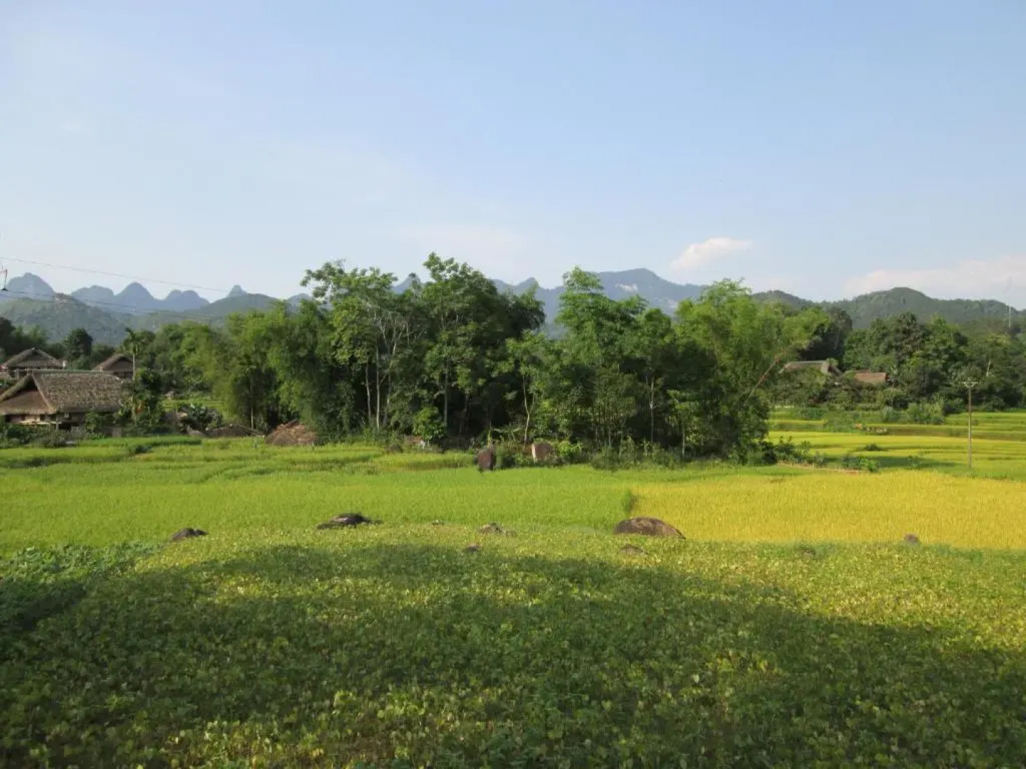 Dong Que Homestay-Tours-Motorbike, Car rental, Hiking